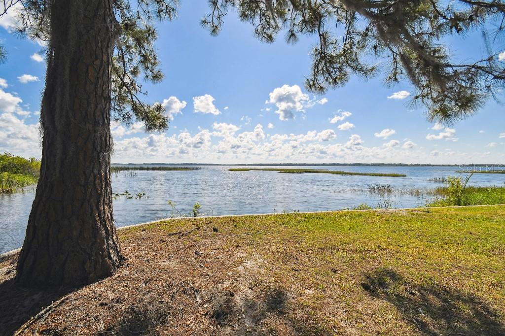 12901 BROLEMAN RD, ORLANDO, FL, 32832