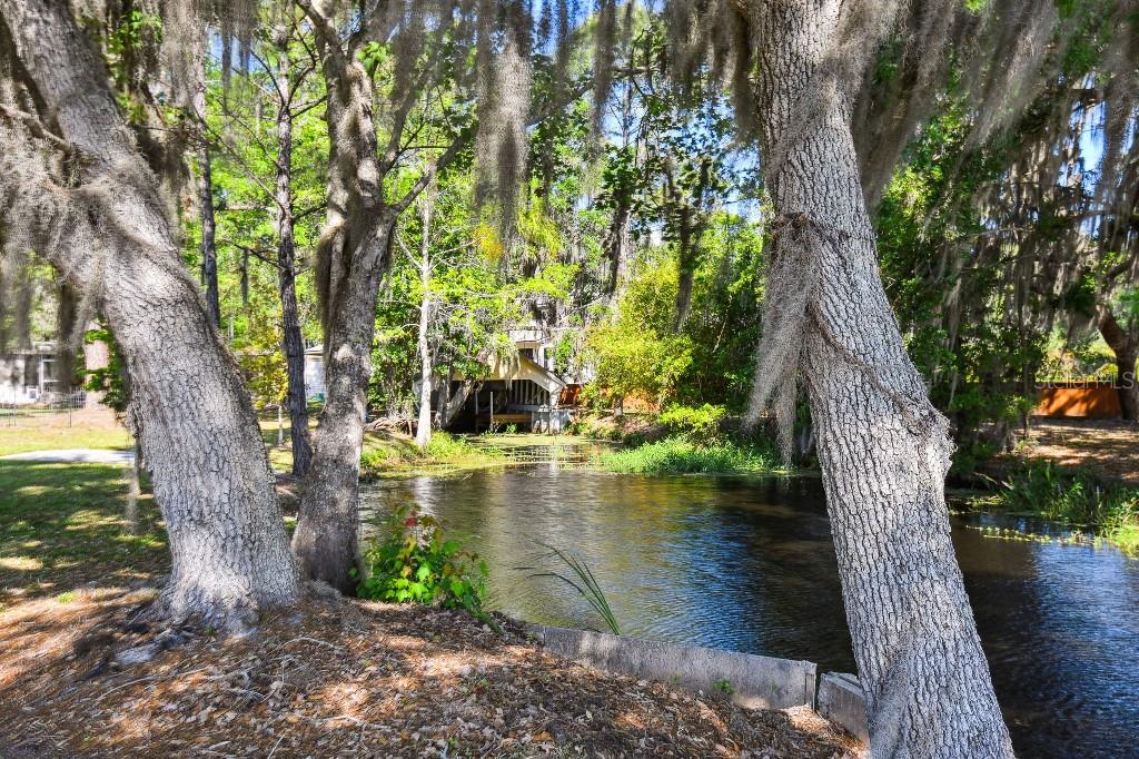 12901 BROLEMAN RD, ORLANDO, FL, 32832
