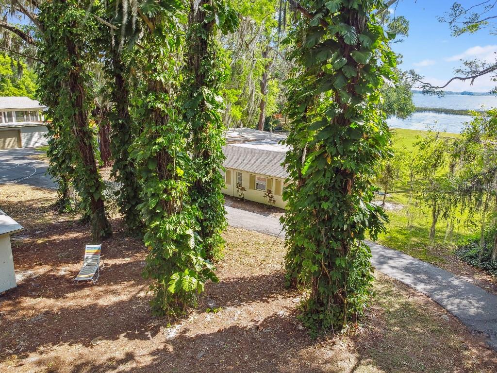 12901 BROLEMAN RD, ORLANDO, FL, 32832