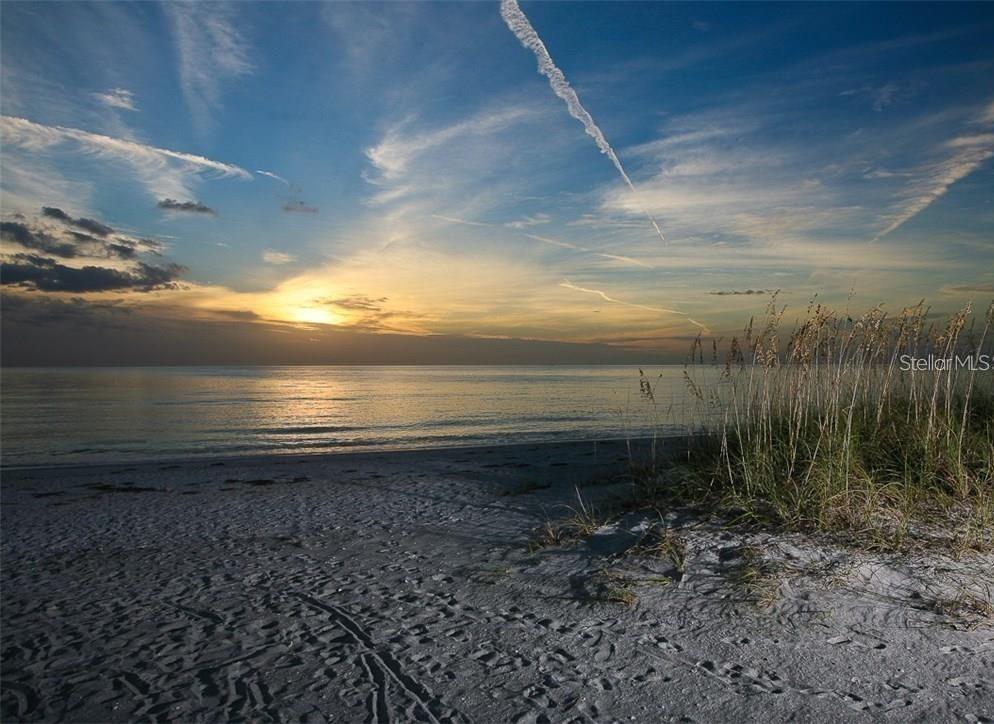 1261 BLVD OF THE ARTS, SARASOTA, FL, 34236