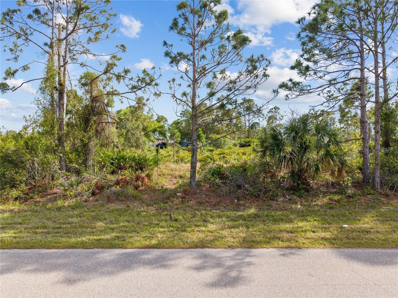 12161 DIVERSEY AVE, PORT CHARLOTTE, FL, 33981