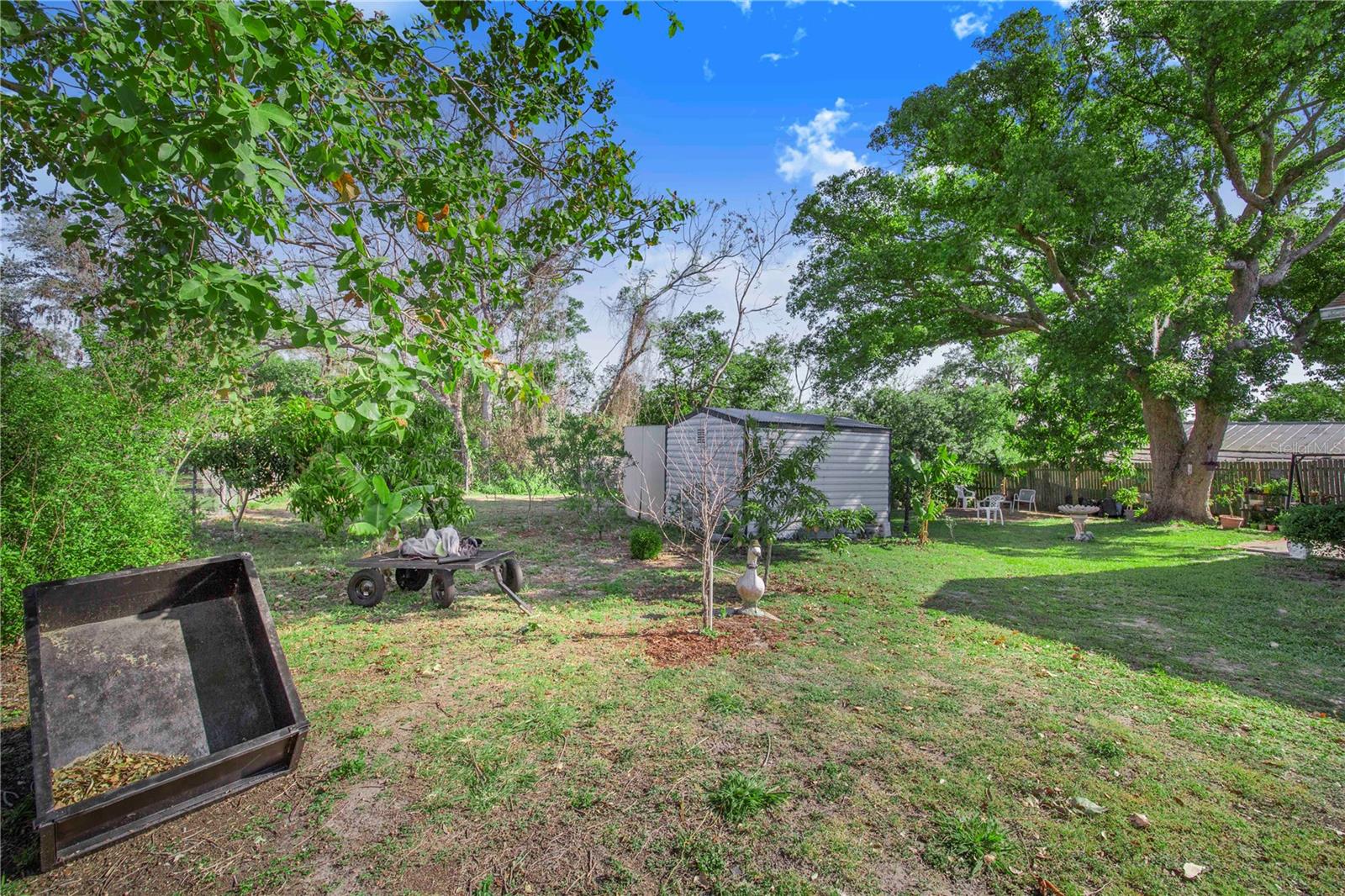 321 E MERRILL AVE, DUNDEE, FL, 33838