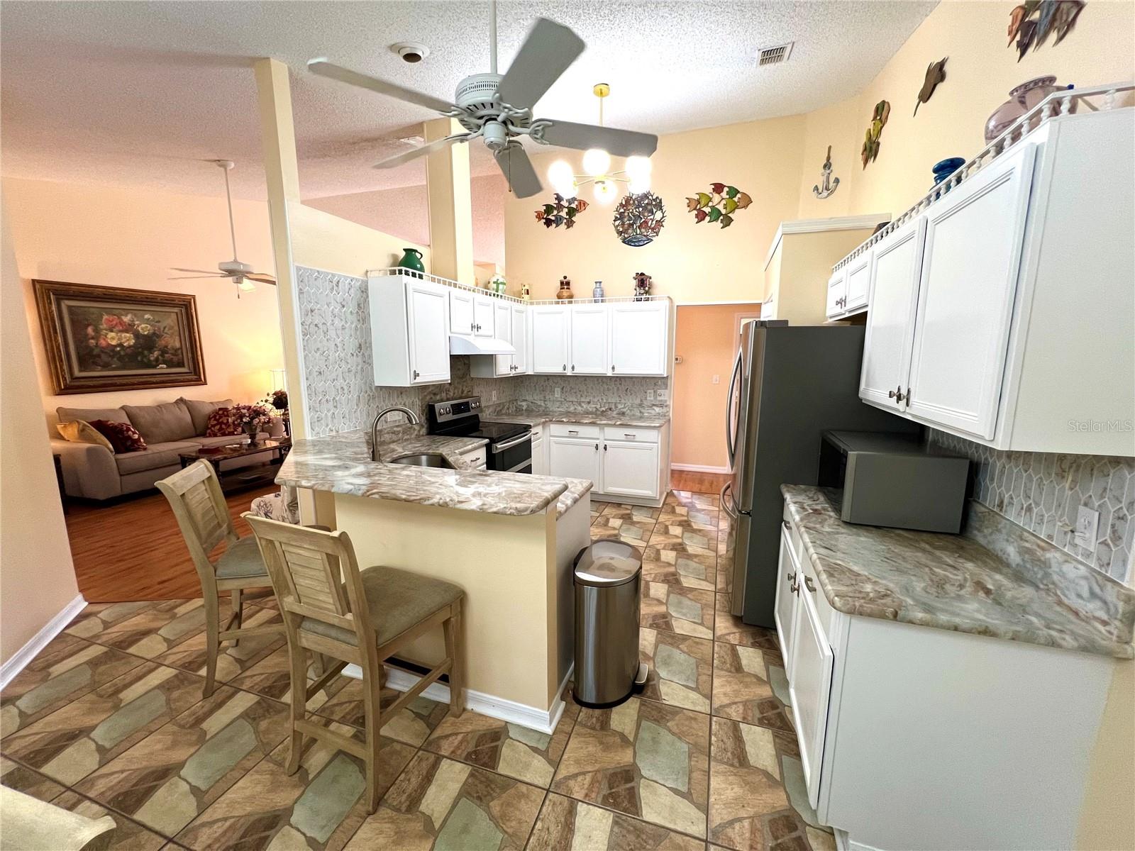 4638 RIVER RIDGE DR, LEESBURG, FL, 34748