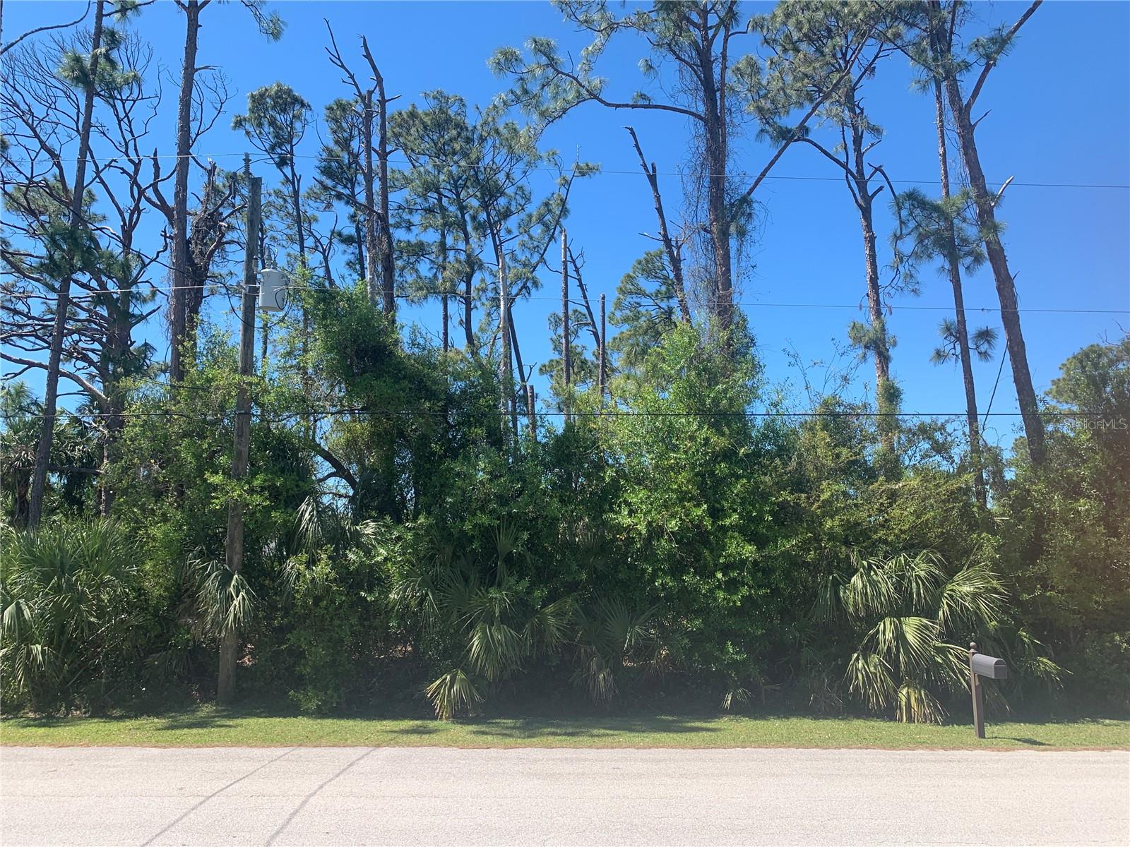 PINCUSHION, NORTH PORT, FL, 34286