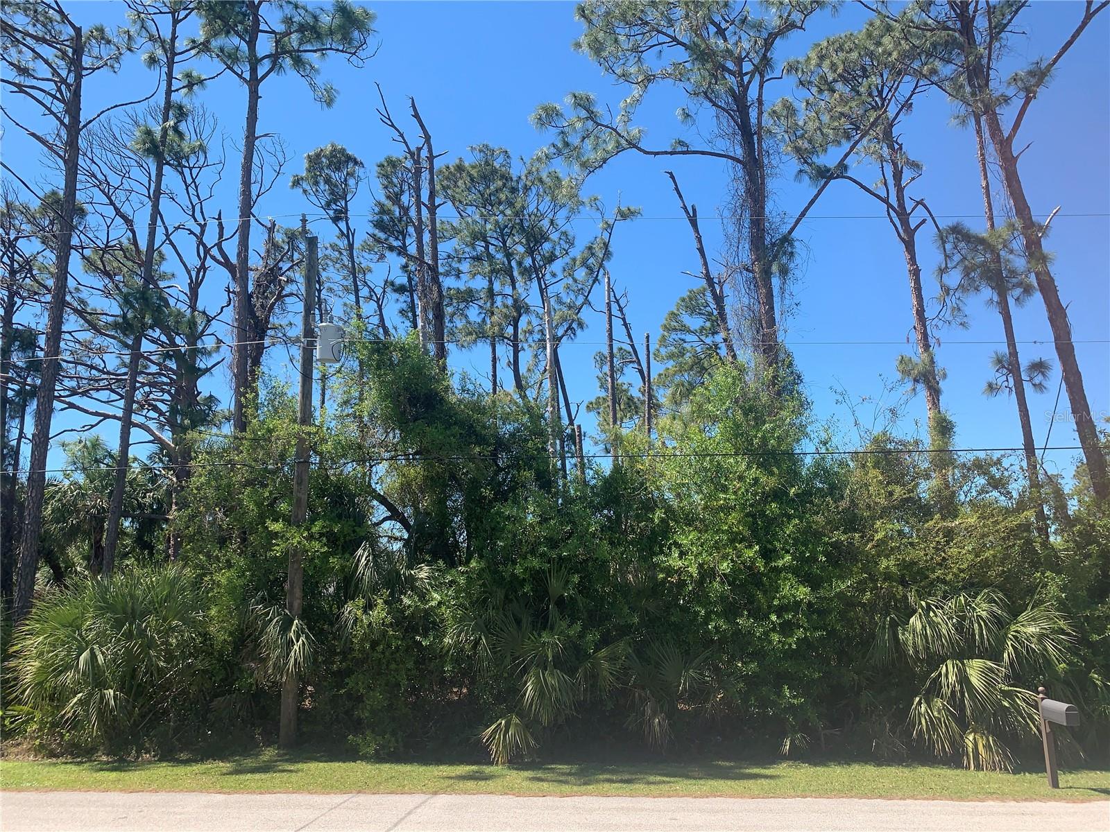PINCUSHION, NORTH PORT, FL, 34286
