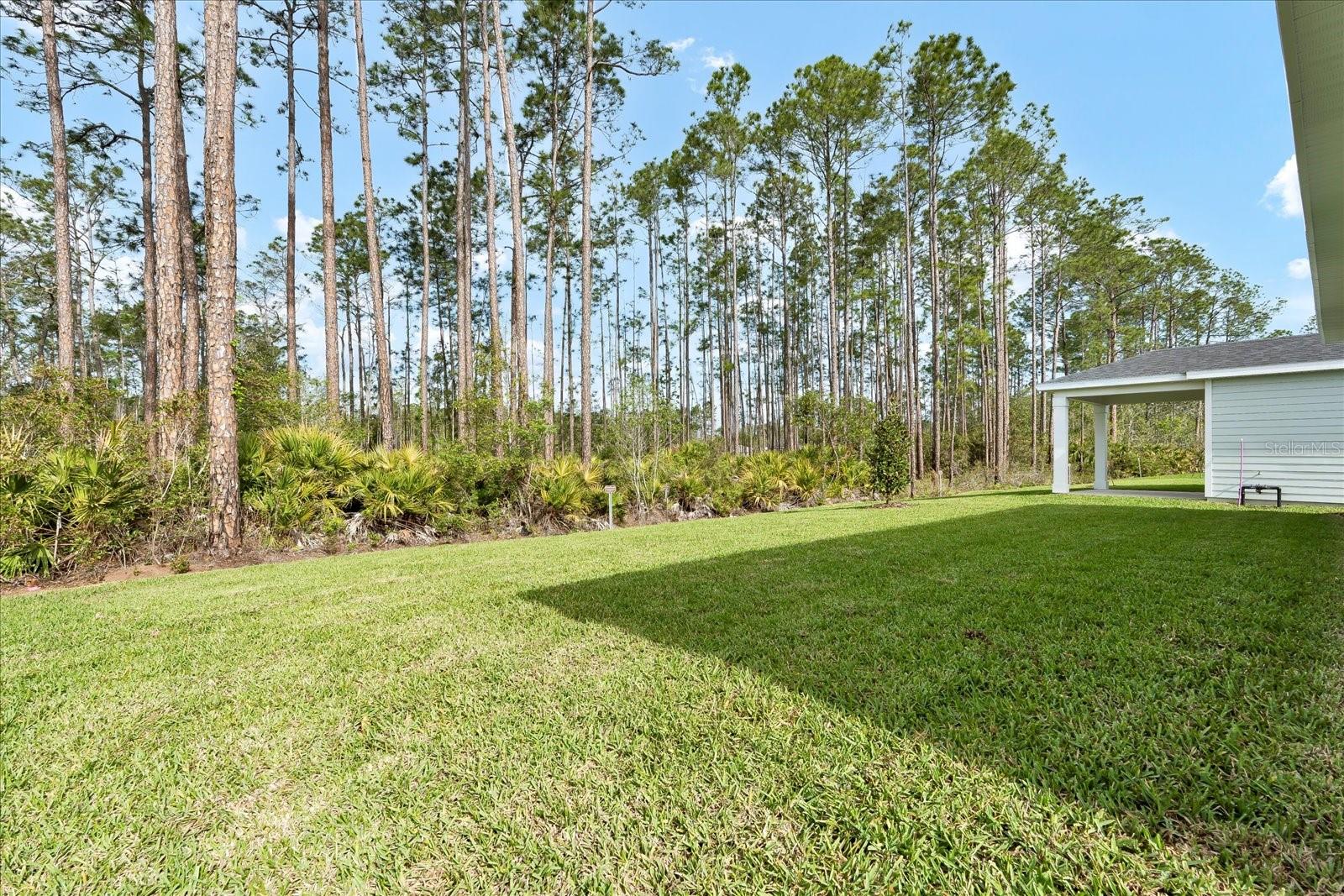 19 WANDERING CREEK WAY, PALM COAST, FL, 32164