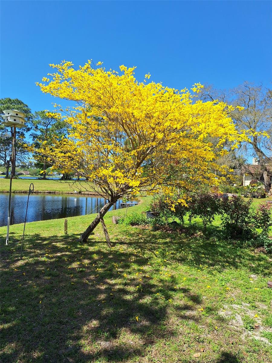 285 RINGWOOD DR, WINTER SPRINGS, FL, 32708