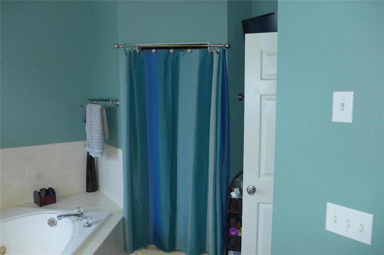 908 HILLY BEND DR, APOPKA, FL, 32712