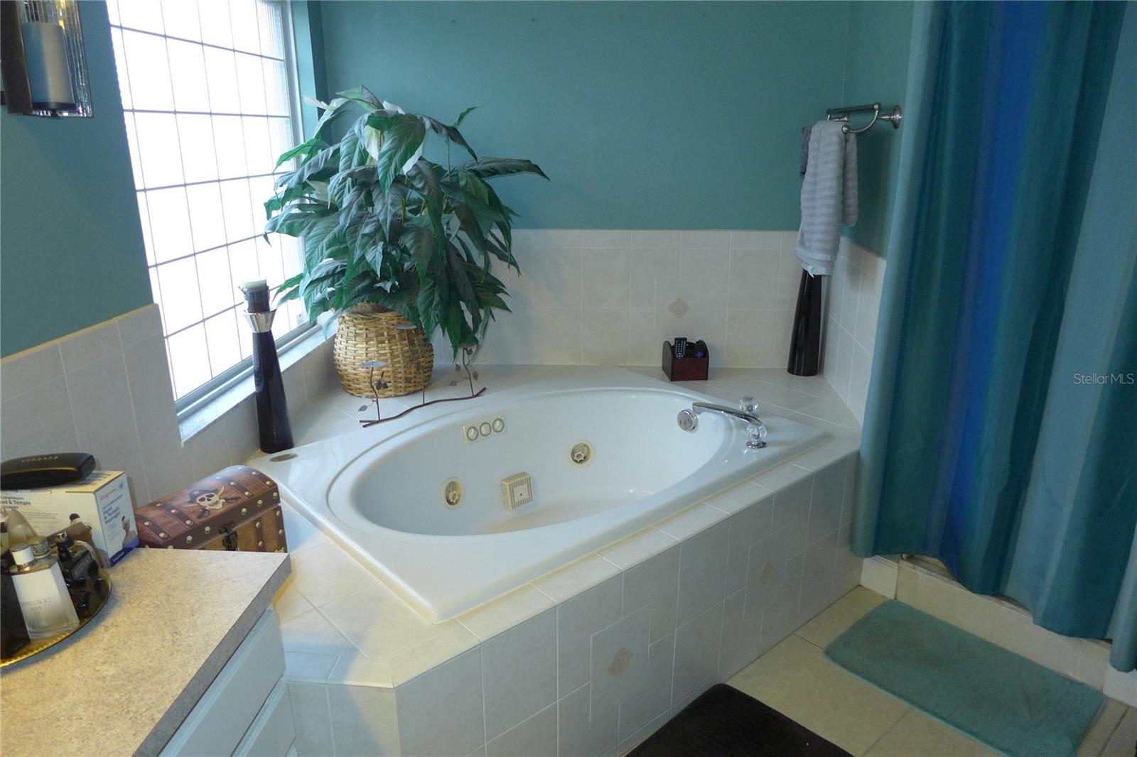 908 HILLY BEND DR, APOPKA, FL, 32712