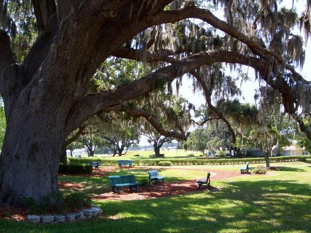17400 SE 116TH COURT RD, SUMMERFIELD, FL, 34491