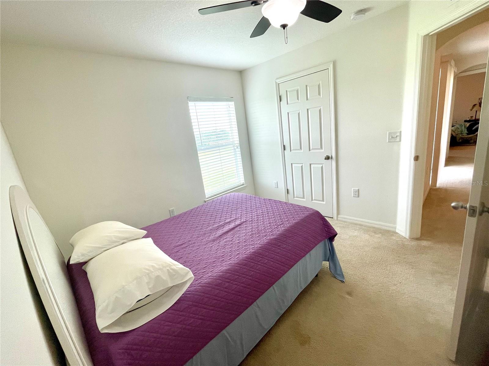 6698 WIREVINE DR, BROOKSVILLE, FL, 34602