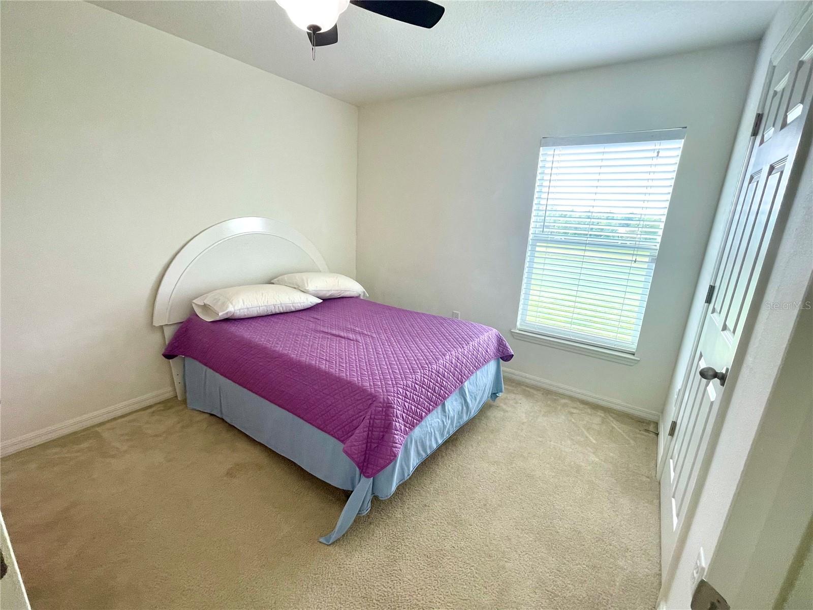 6698 WIREVINE DR, BROOKSVILLE, FL, 34602