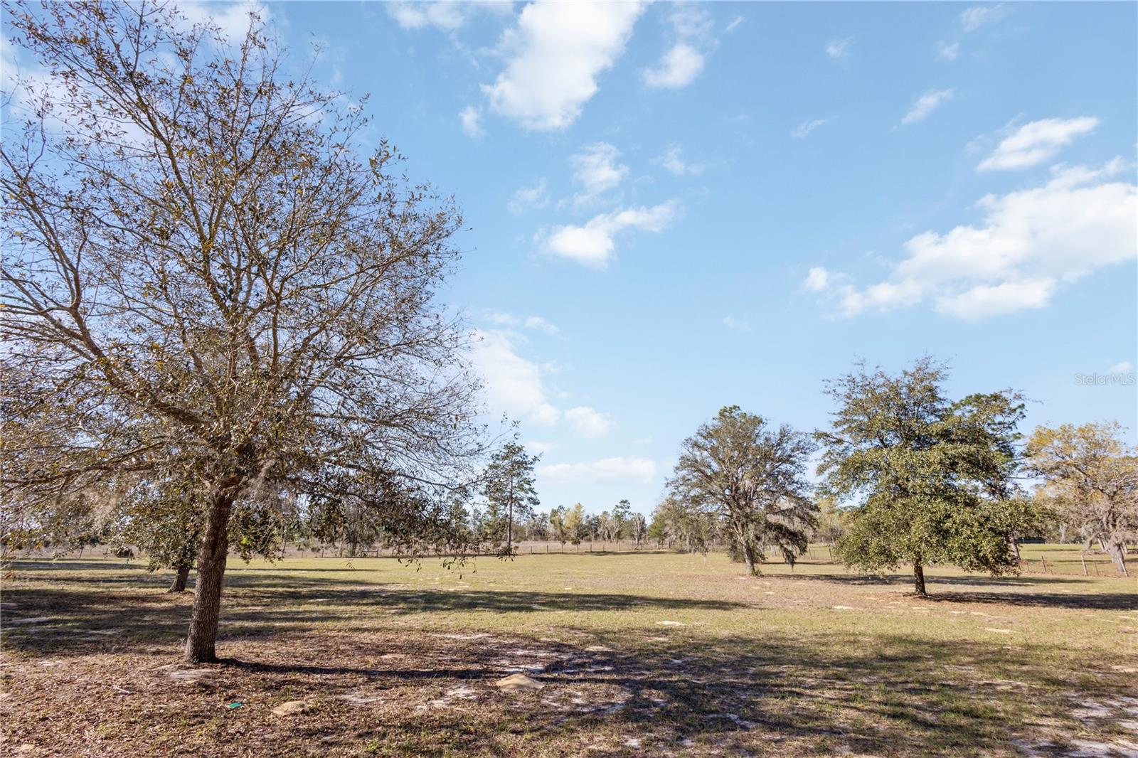 11851 NE 50TH ST, BRONSON, FL, 32621