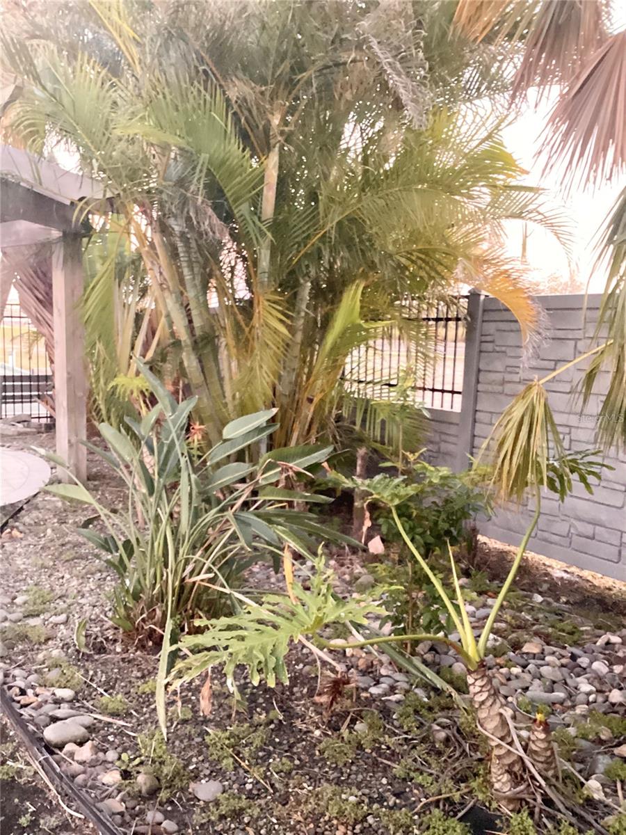 9177 47TH AVE N, ST PETERSBURG, FL, 33708