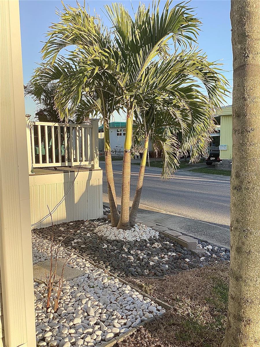9177 47TH AVE N, ST PETERSBURG, FL, 33708