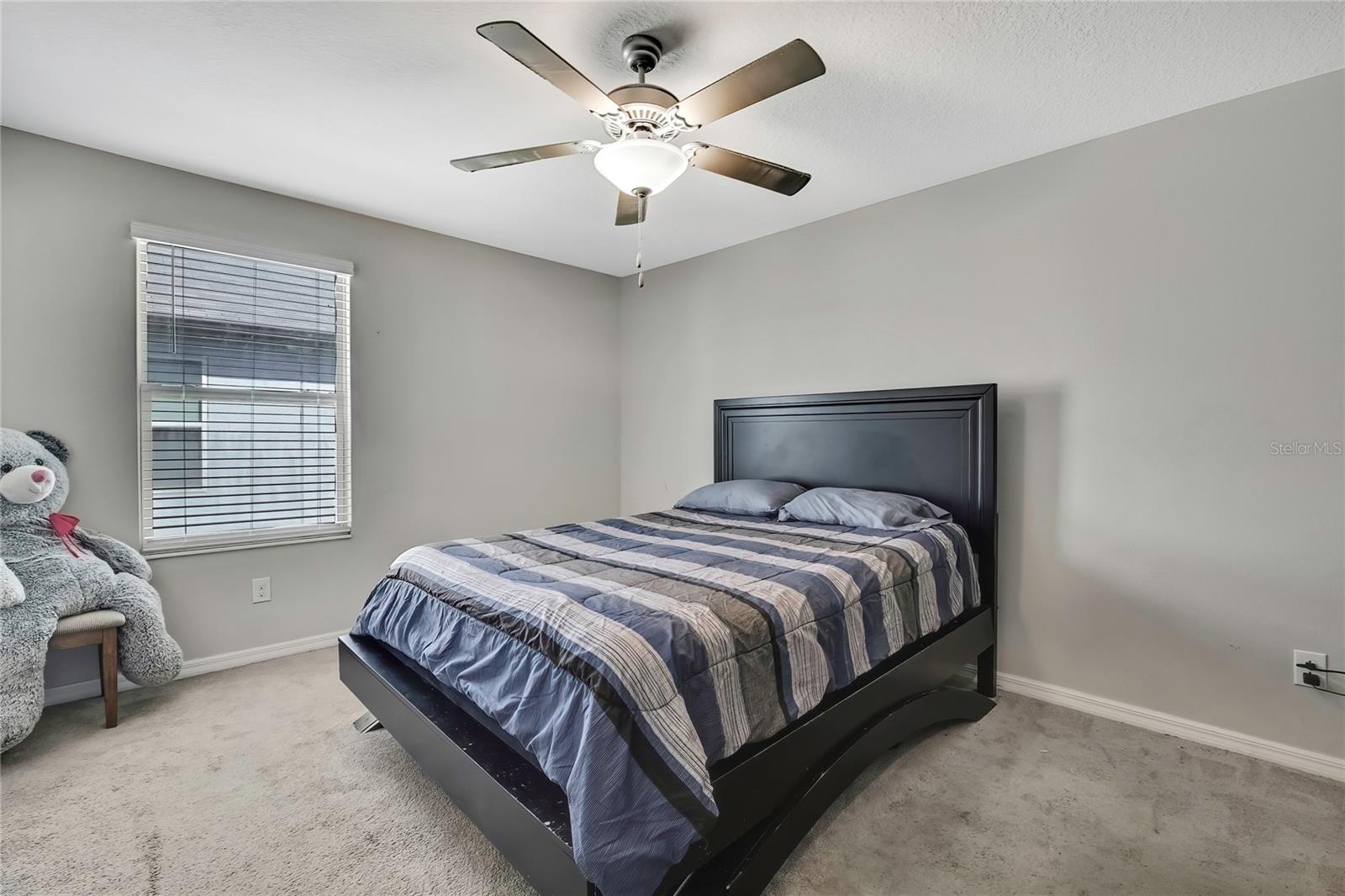 35965 SADDLE PALM WAY, ZEPHYRHILLS, FL, 33541