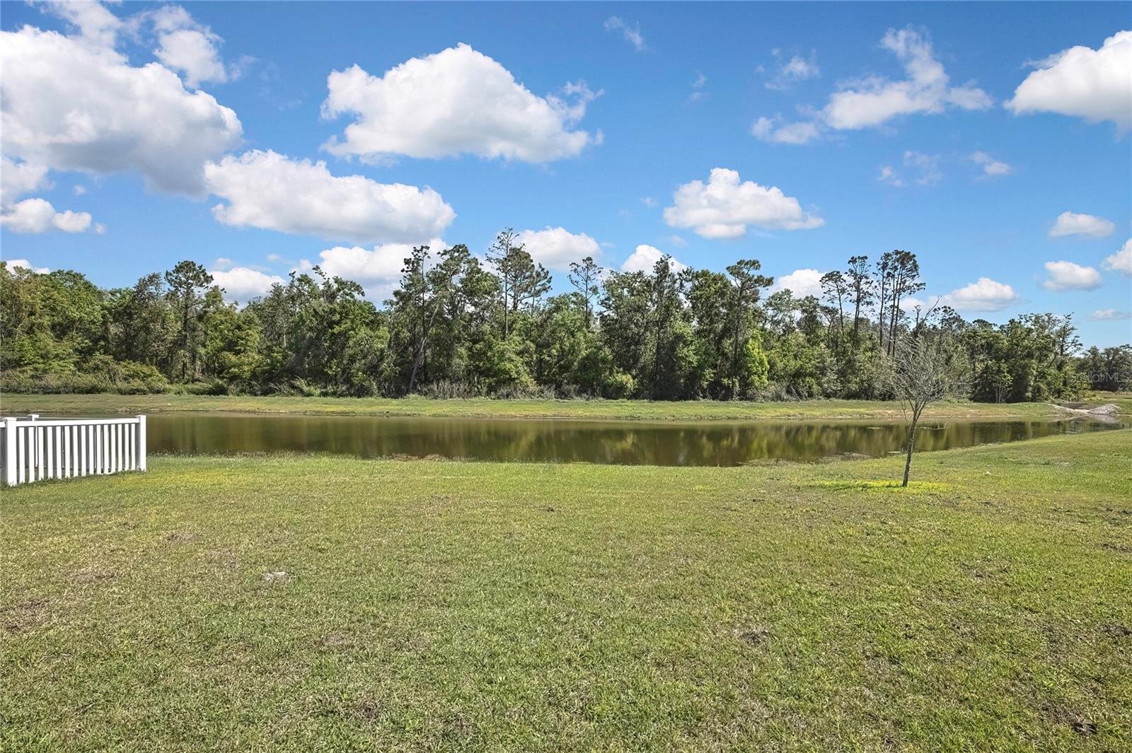 35965 SADDLE PALM WAY, ZEPHYRHILLS, FL, 33541