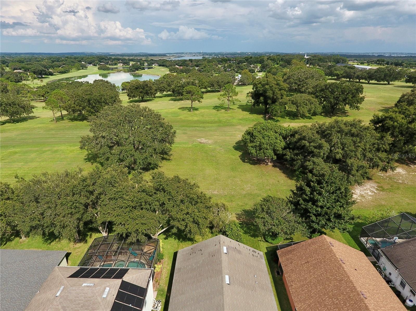 1207 GREENLEY AVE, GROVELAND, FL, 34736