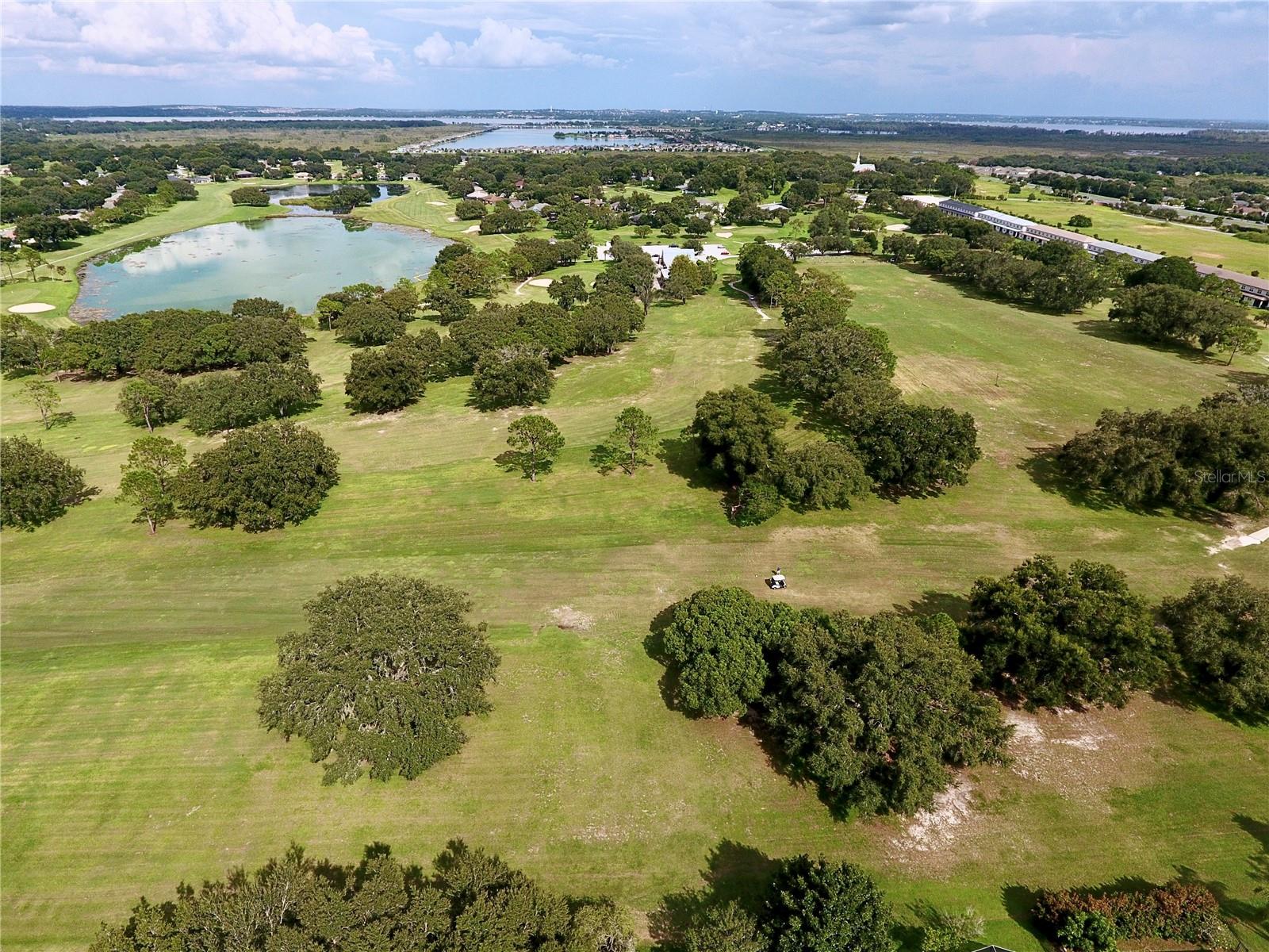 1207 GREENLEY AVE, GROVELAND, FL, 34736