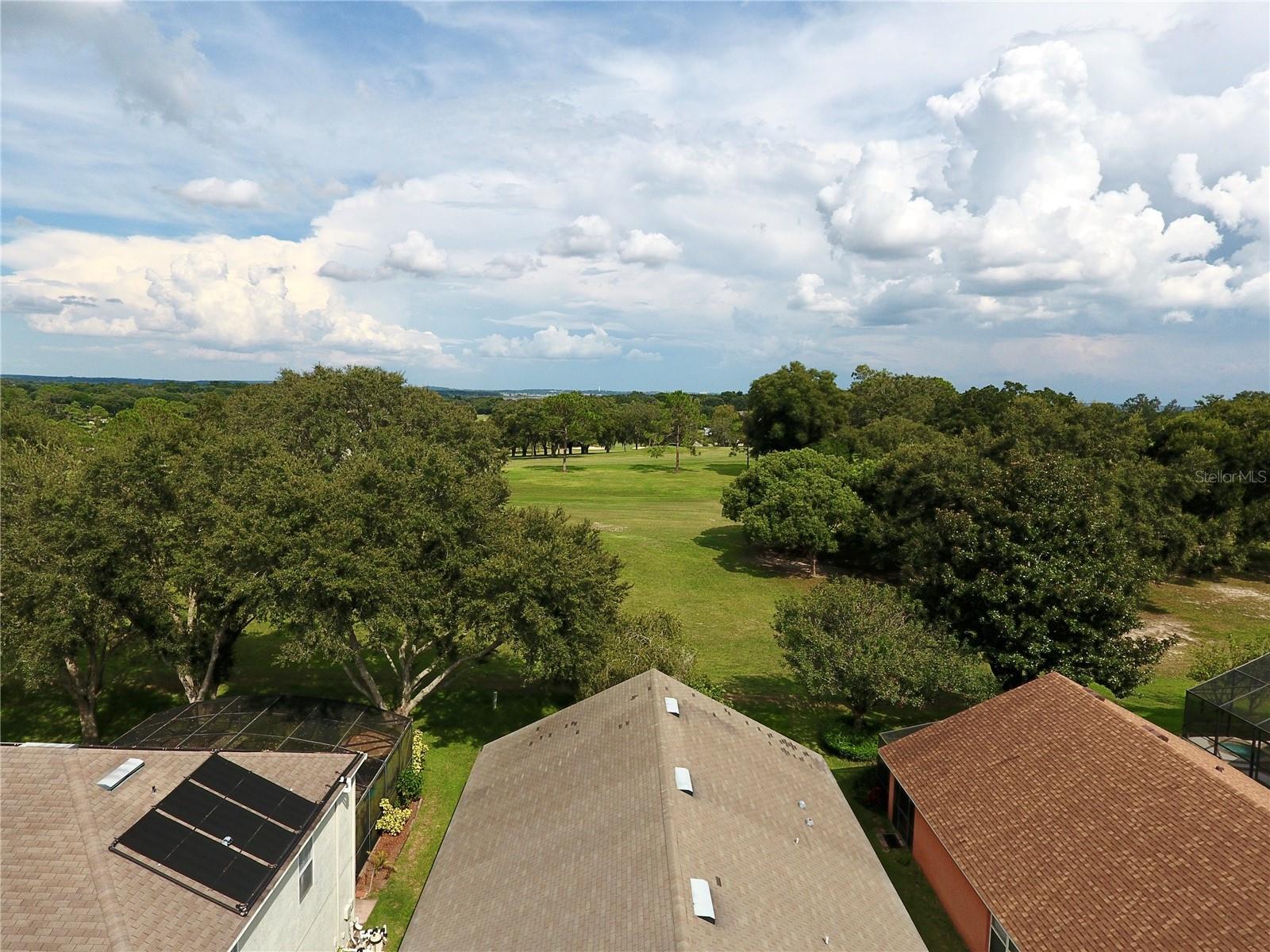 1207 GREENLEY AVE, GROVELAND, FL, 34736
