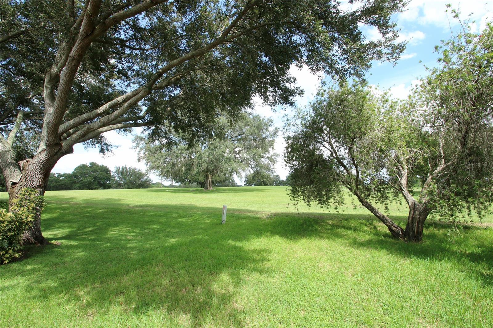 1207 GREENLEY AVE, GROVELAND, FL, 34736