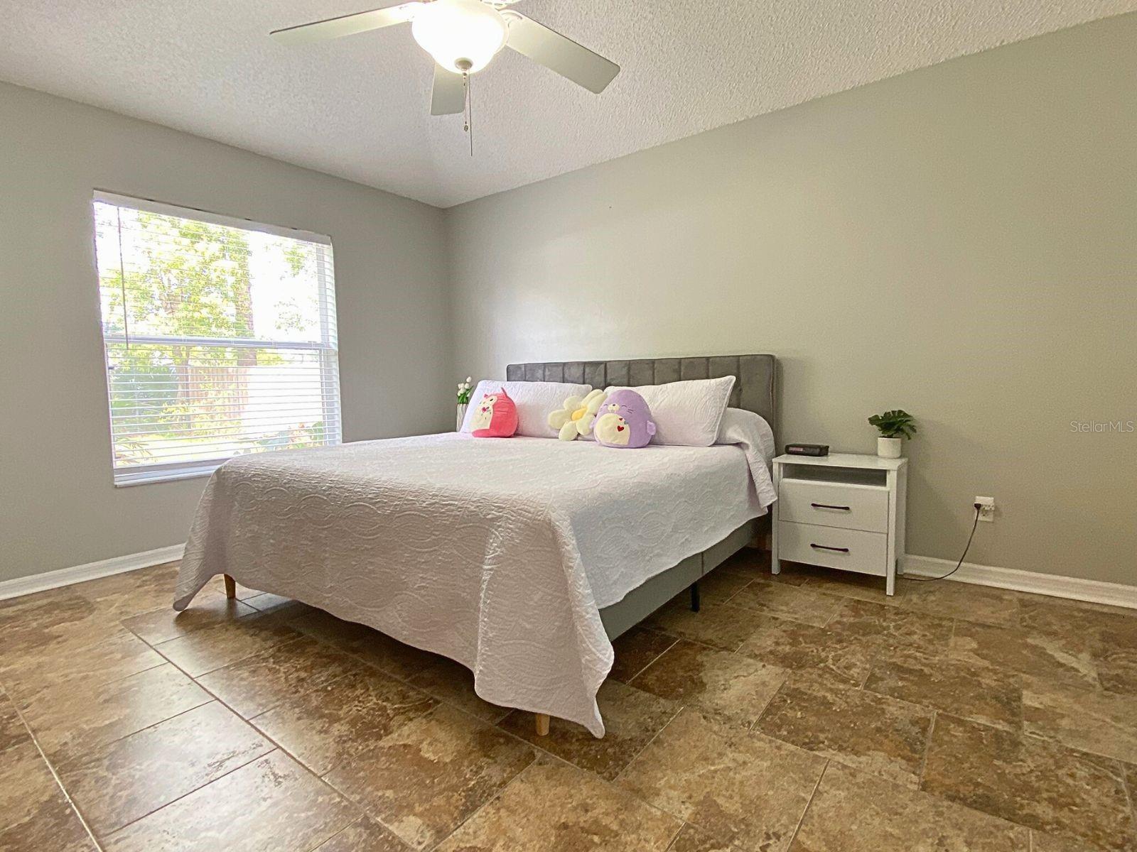 209 OAK BRANCH DR, EDGEWATER, FL, 32141