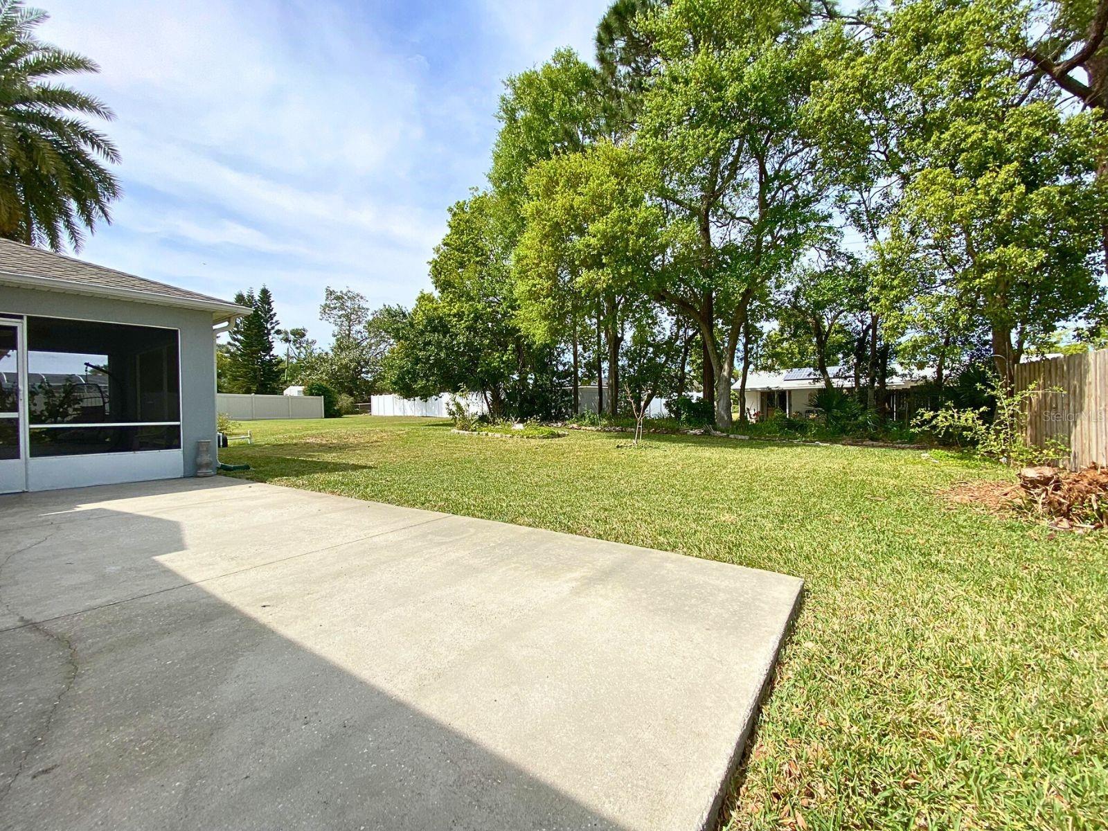 209 OAK BRANCH DR, EDGEWATER, FL, 32141