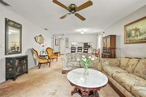 38401 COTTONWOOD PL #38401, ZEPHYRHILLS, FL, 33542