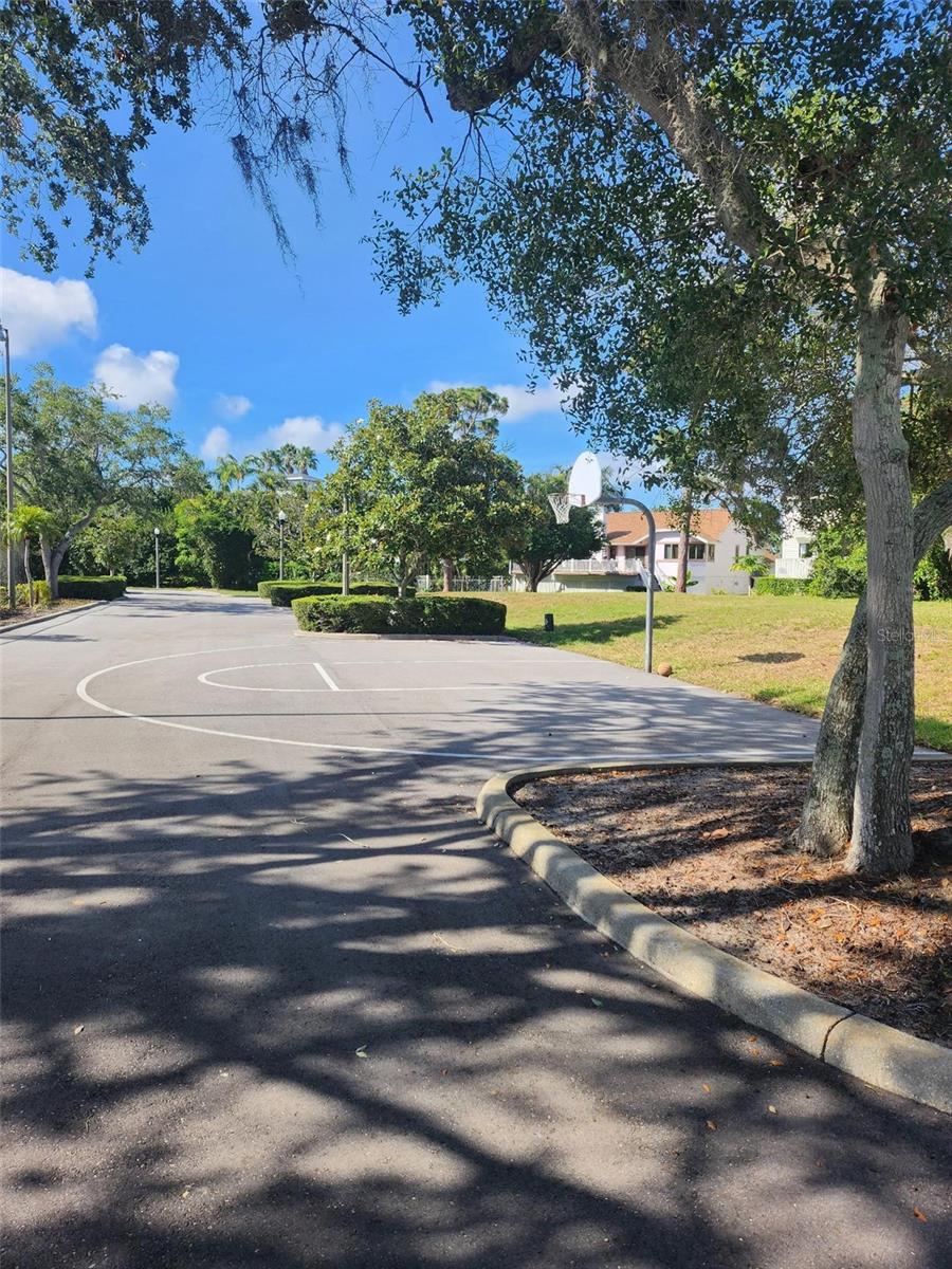 2010 N POINTE ALEXIS DR, TARPON SPRINGS, FL, 34689