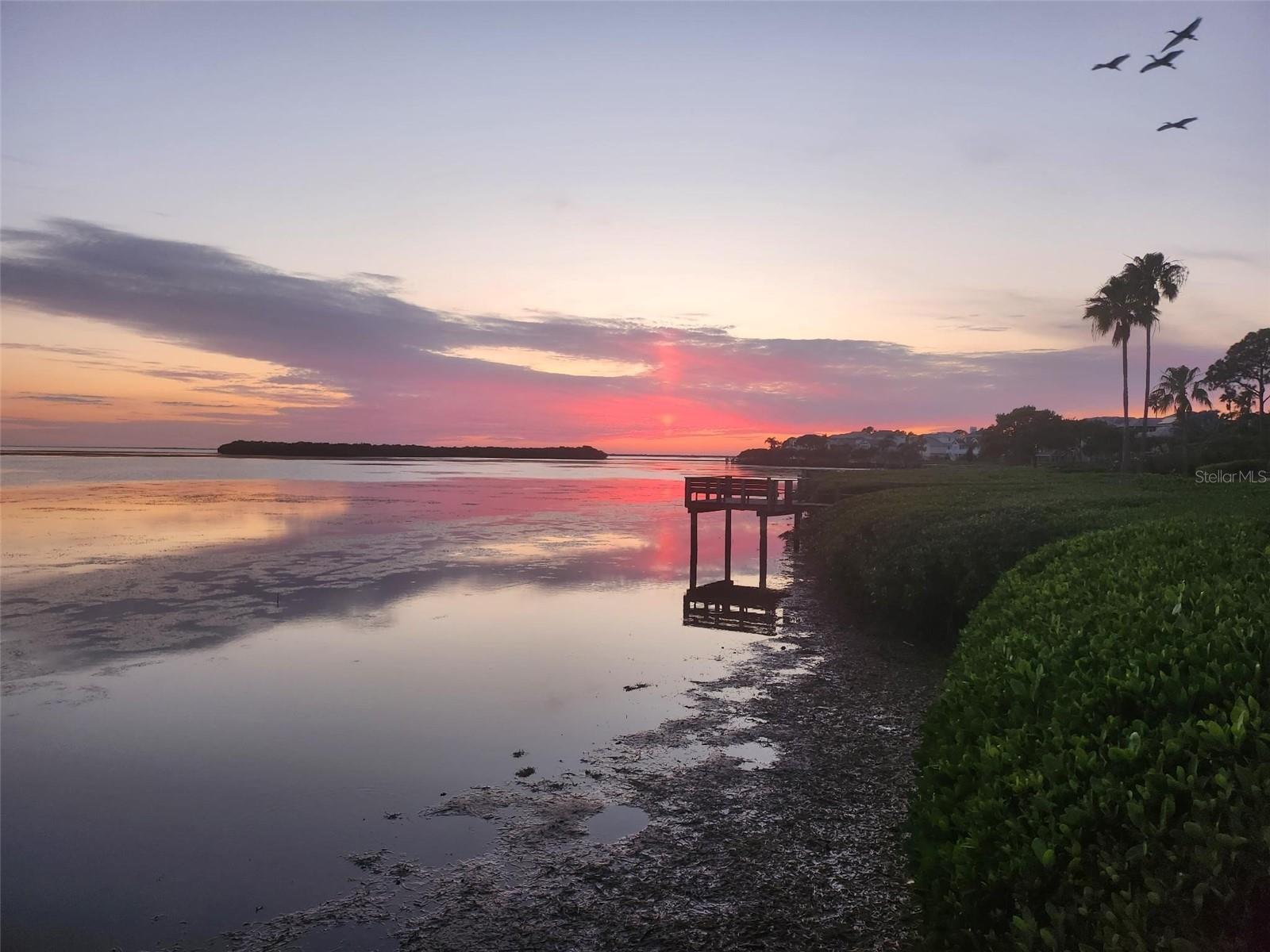 2010 N POINTE ALEXIS DR, TARPON SPRINGS, FL, 34689