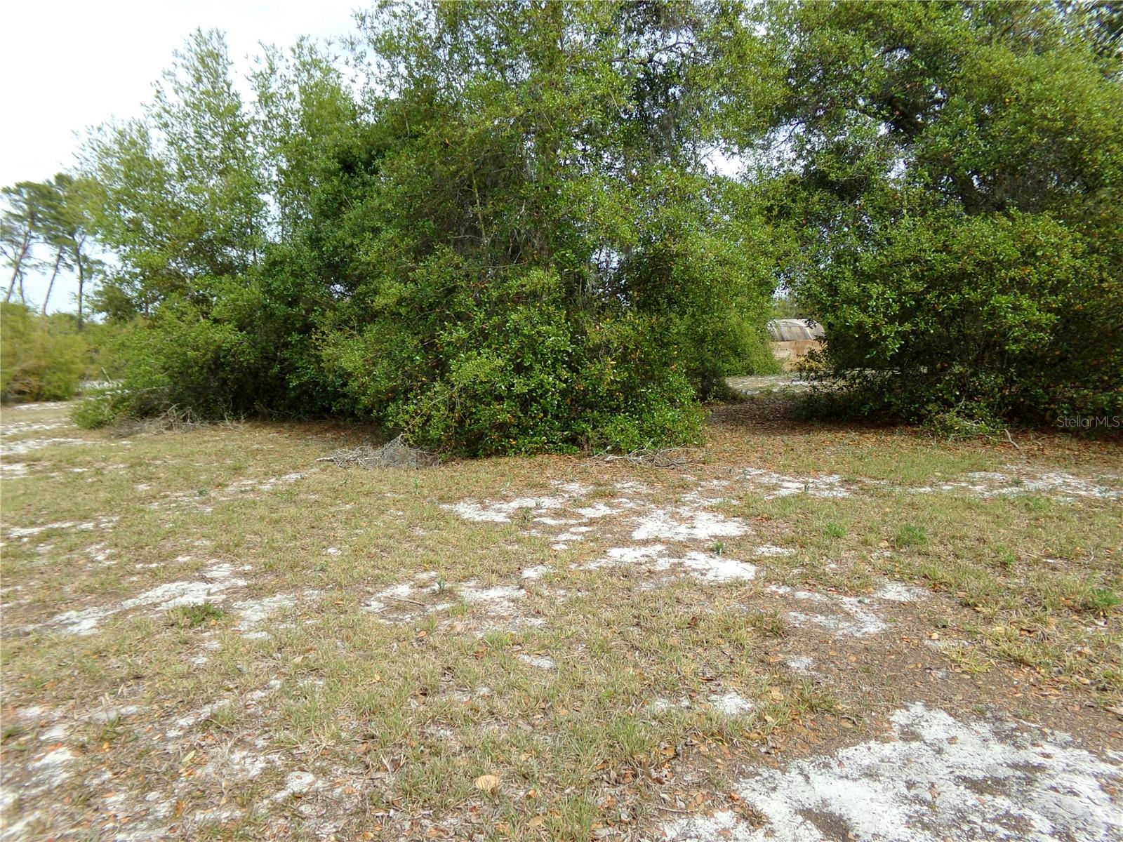 1409 ANDERSON ST, DELTONA, FL, 32725
