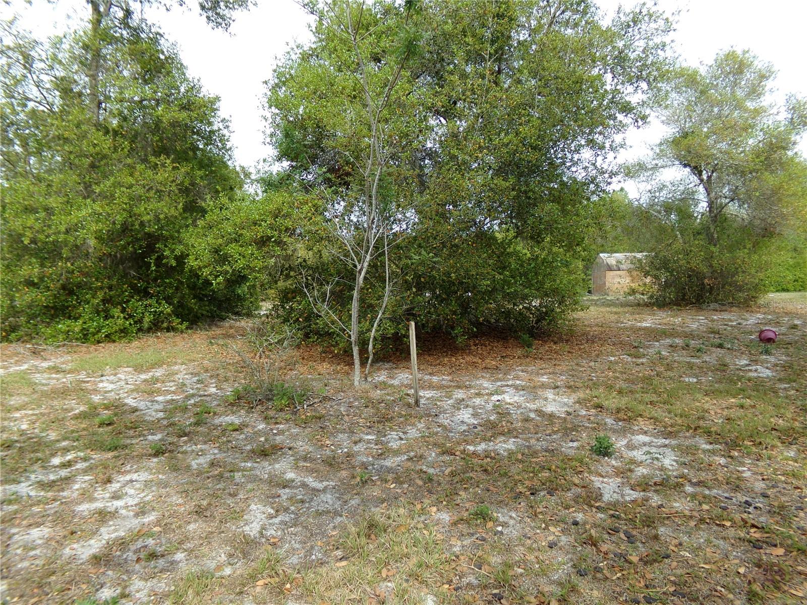 1409 ANDERSON ST, DELTONA, FL, 32725