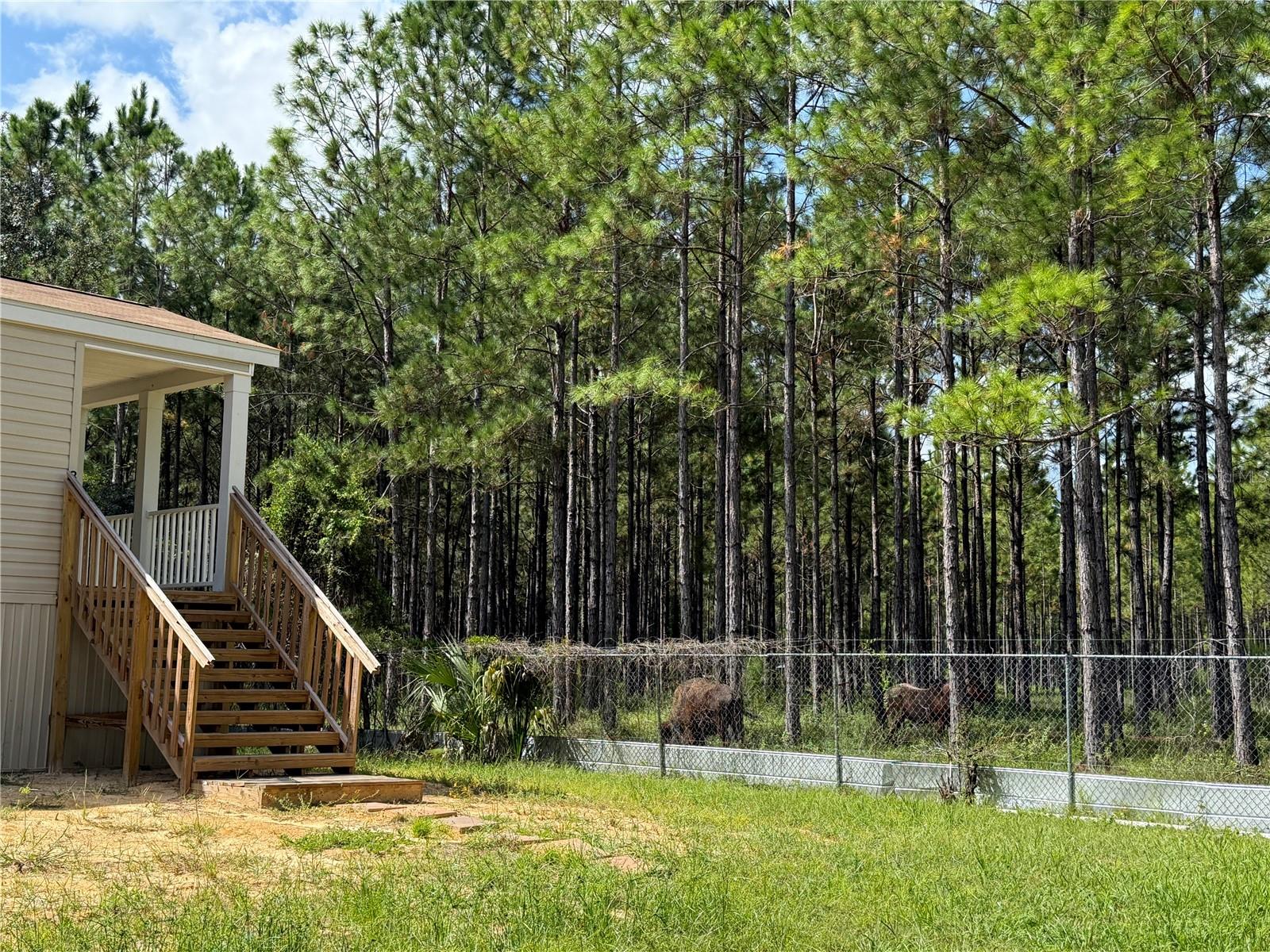 8250 W FAIROAK CT, CRYSTAL RIVER, FL, 34428