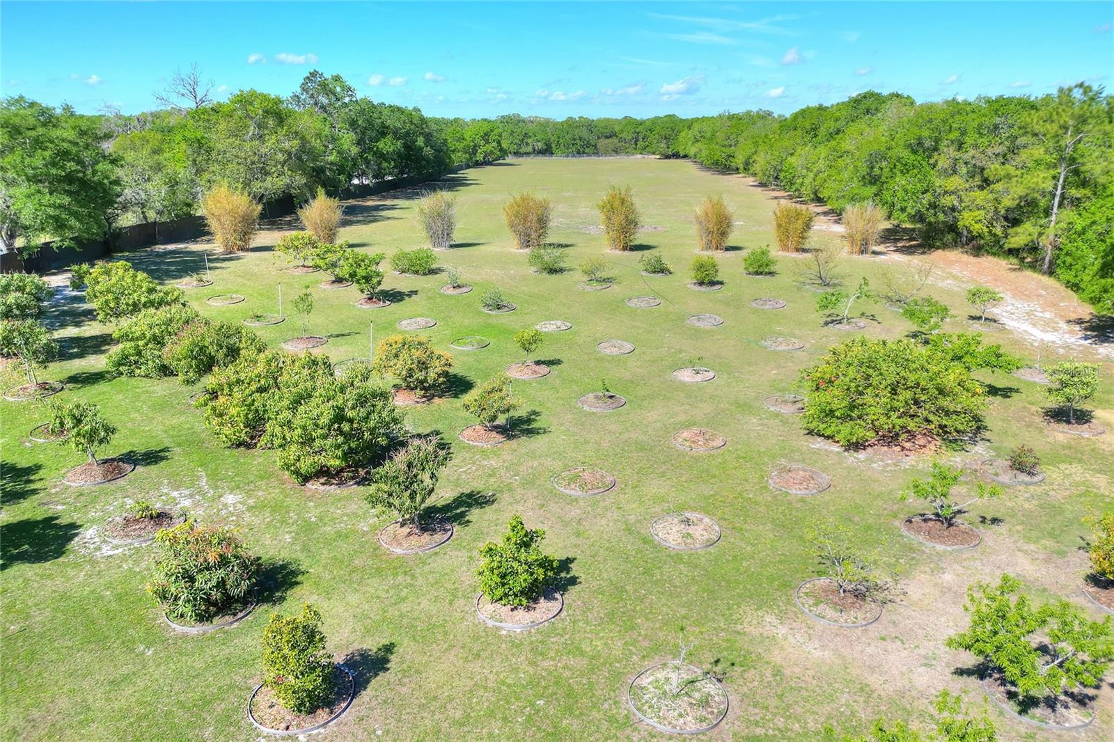 2020 STATE ROAD 37 S, MULBERRY, FL, 33860