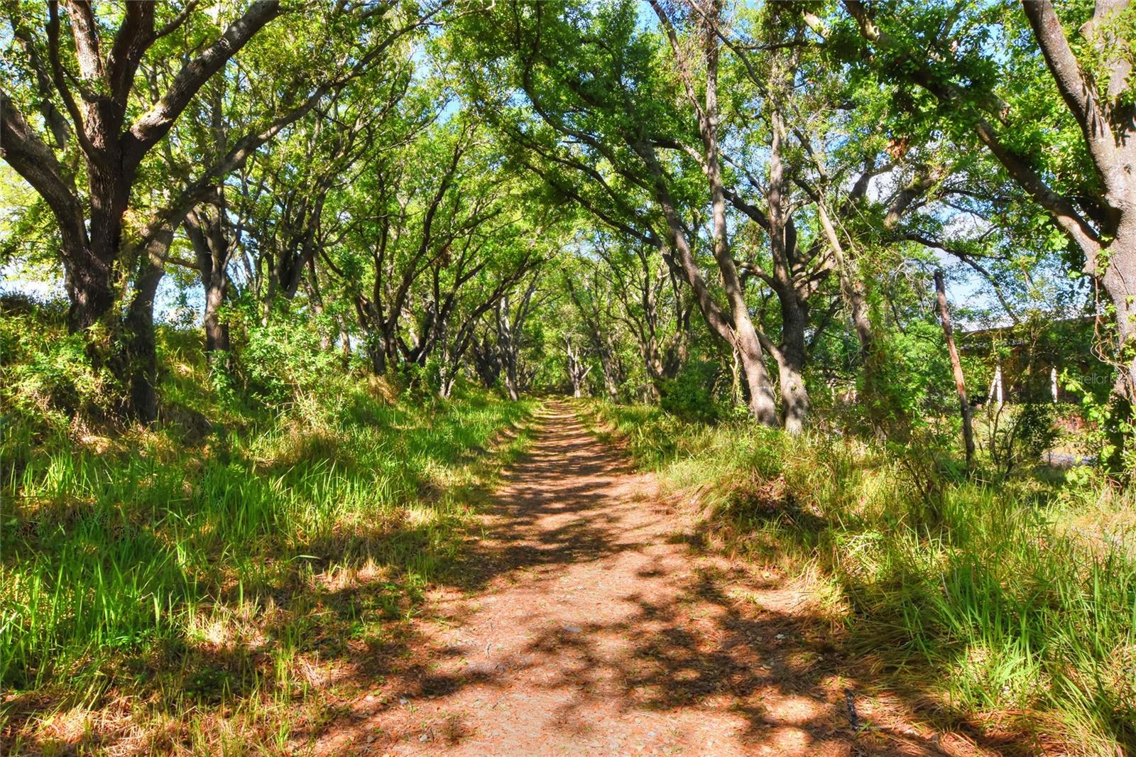 2020 STATE ROAD 37 S, MULBERRY, FL, 33860