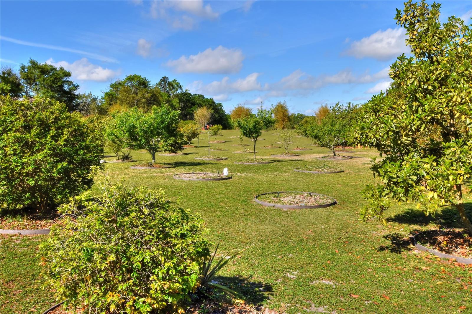 2020 STATE ROAD 37 S, MULBERRY, FL, 33860