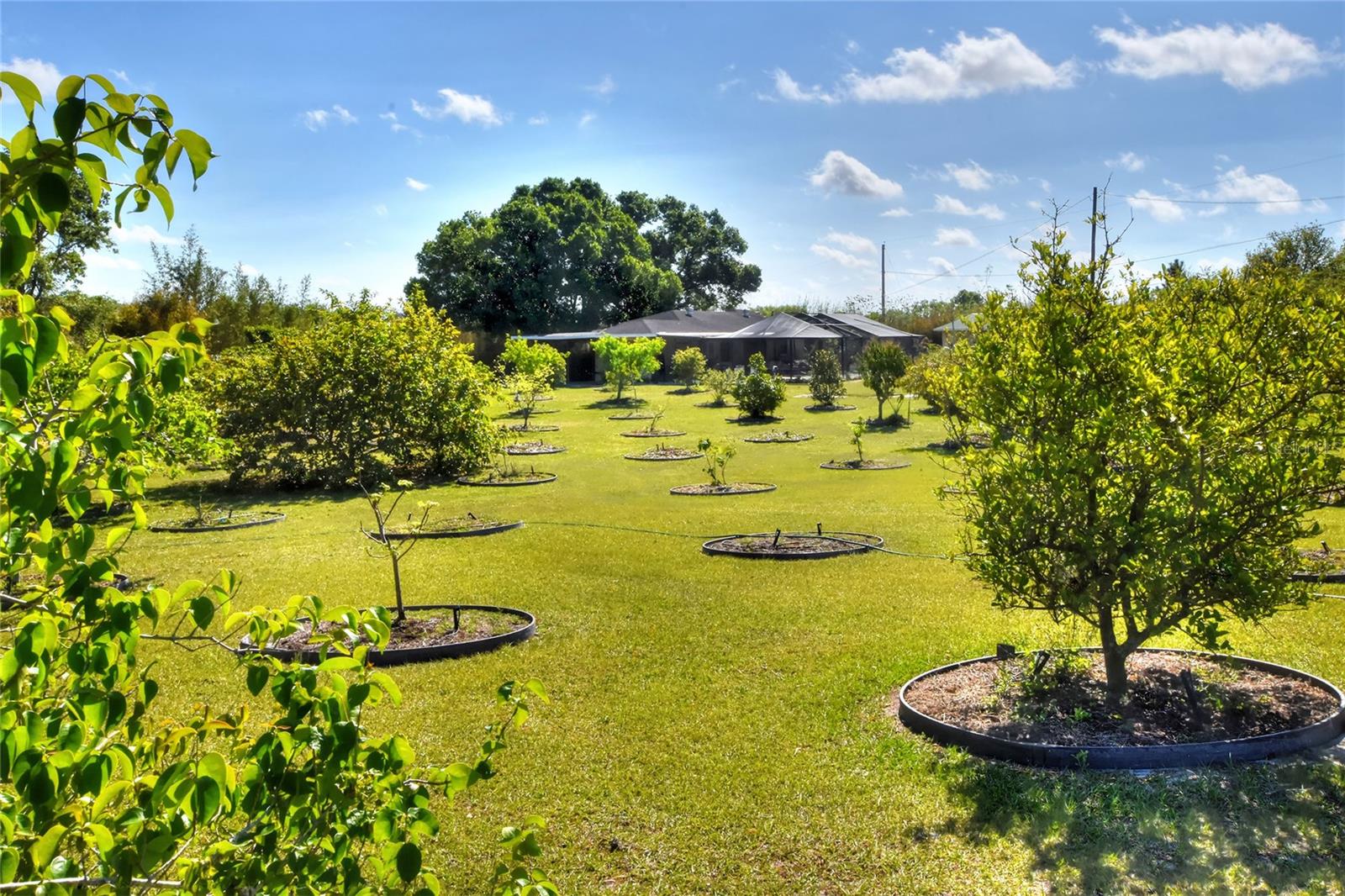 2020 STATE ROAD 37 S, MULBERRY, FL, 33860