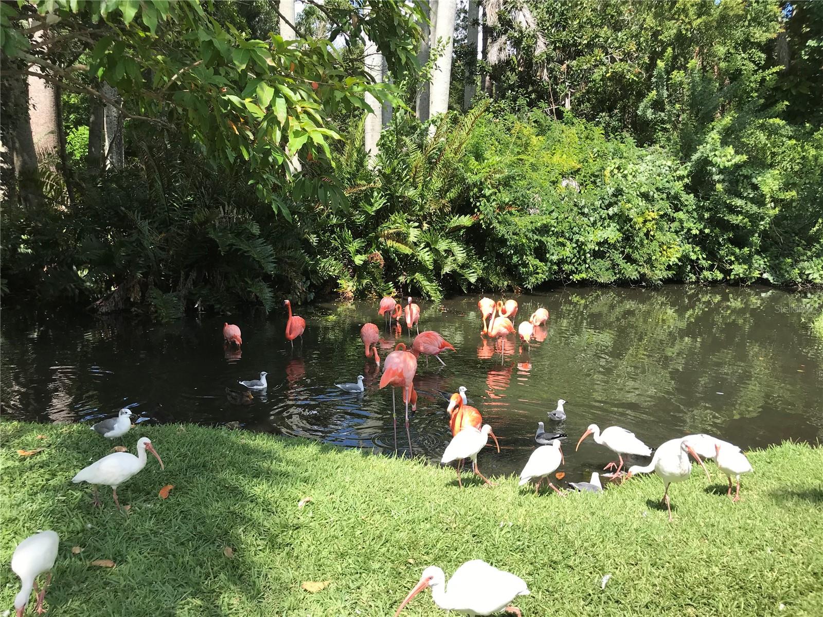 DE MIRANDA AVE, NORTH PORT, FL, 34287