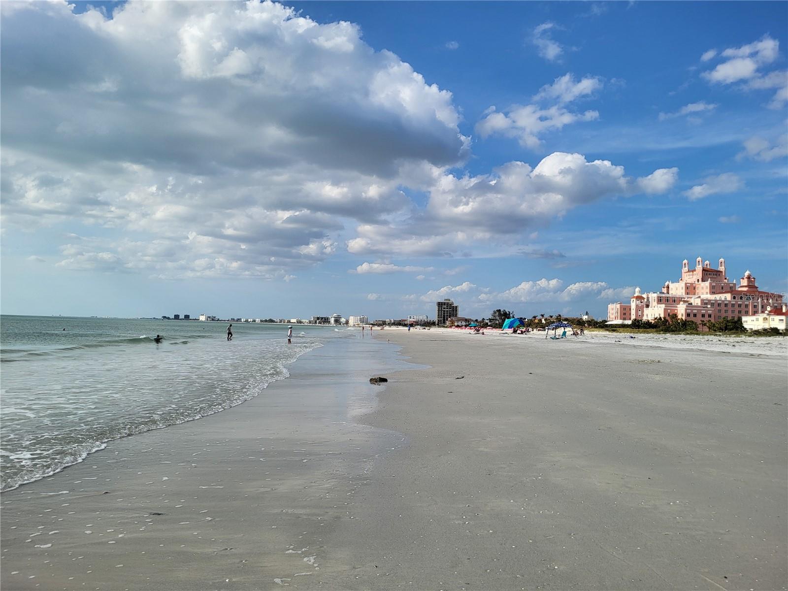 7300 SUN ISLAND DR S #202, SOUTH PASADENA, FL, 33707