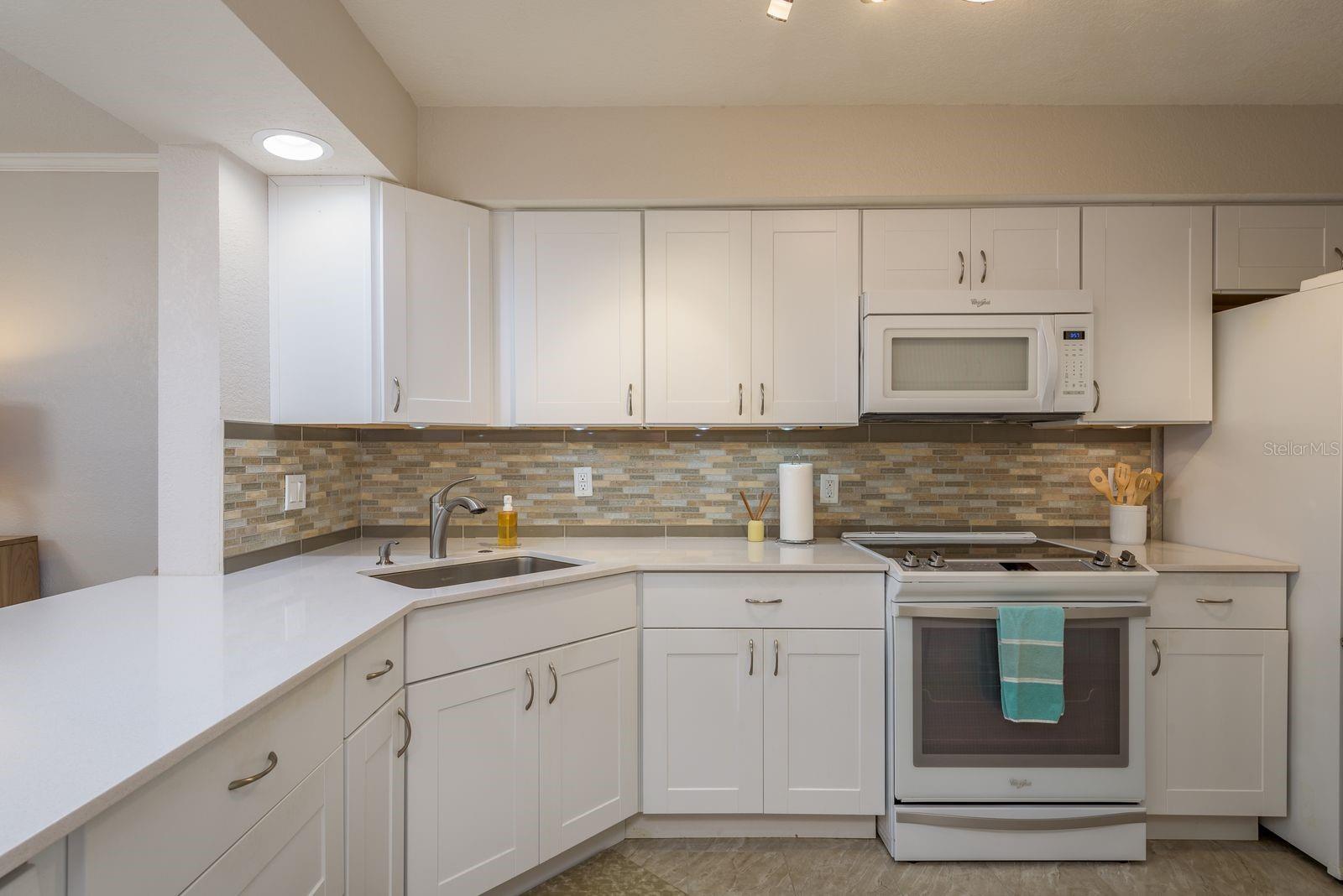 7300 SUN ISLAND DR S #202, SOUTH PASADENA, FL, 33707