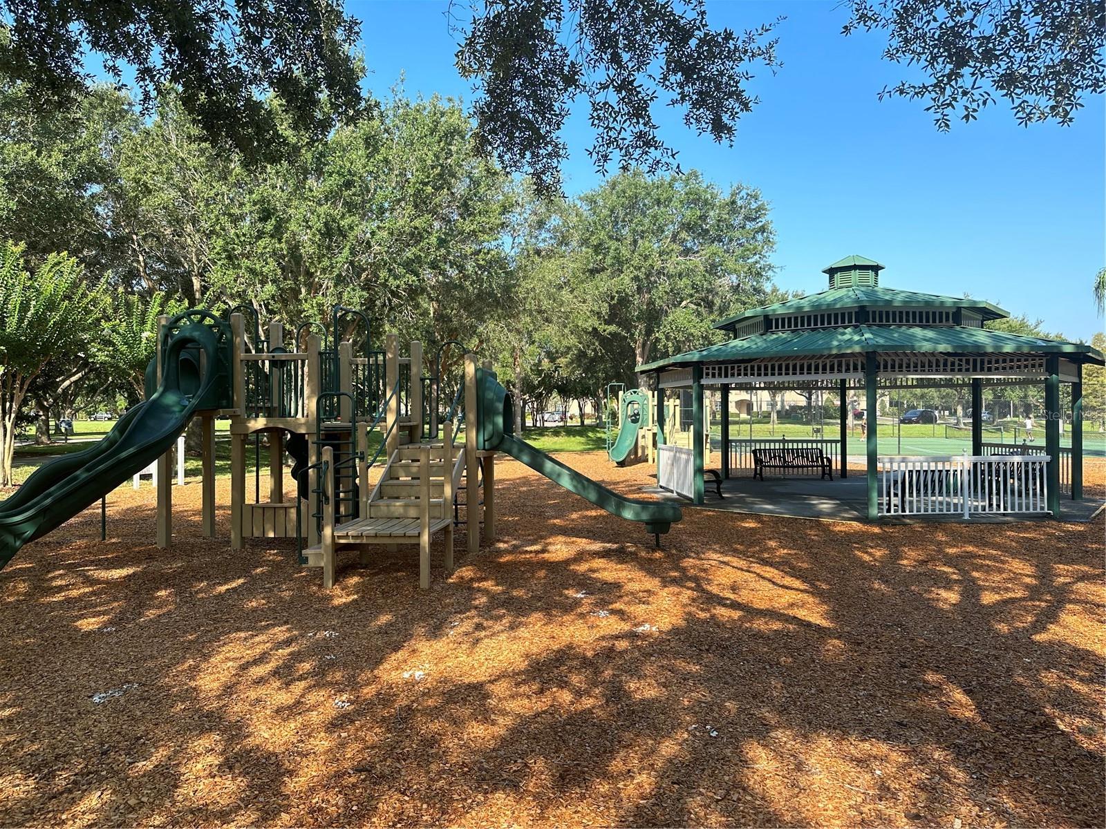 8192 BOAT HOOK LOOP #305, WINDERMERE, FL, 34786