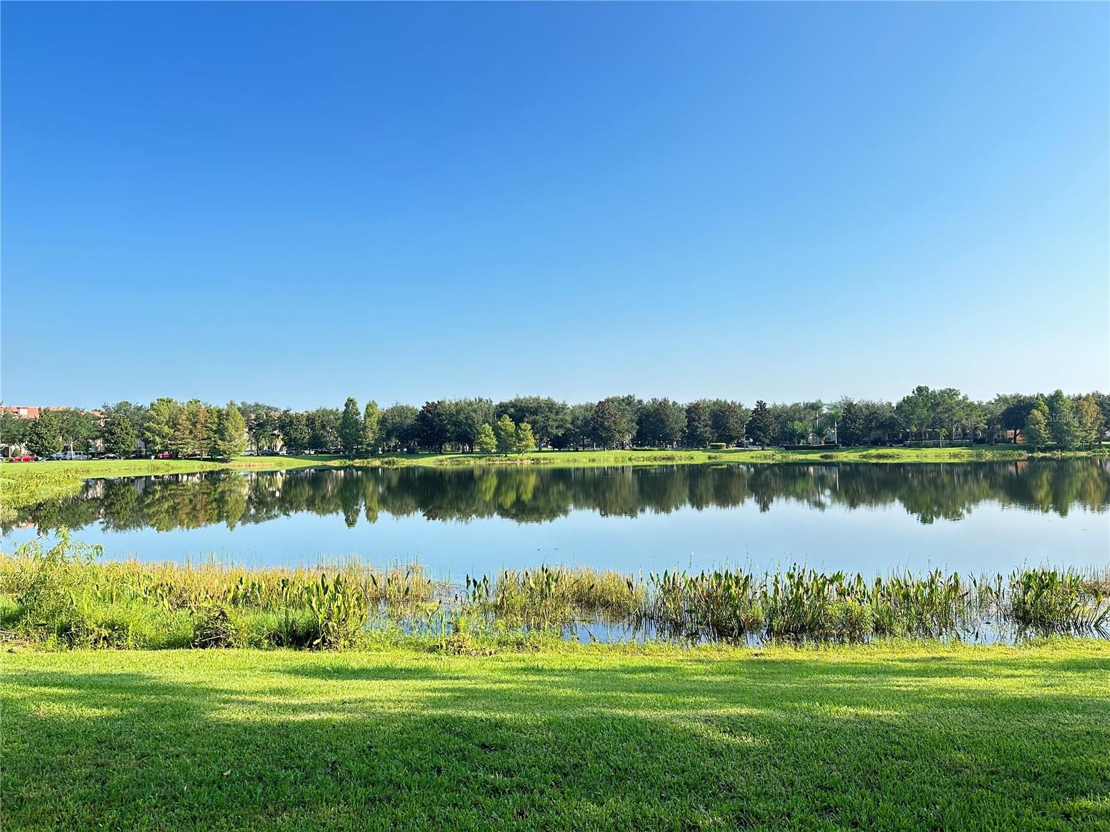 8192 BOAT HOOK LOOP #305, WINDERMERE, FL, 34786