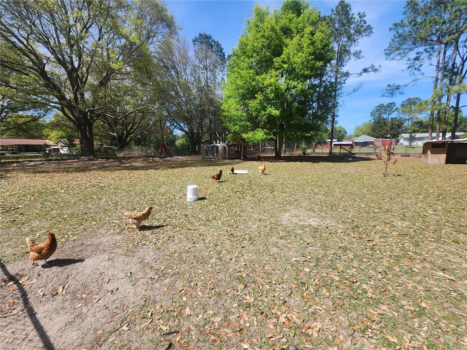 7305 SW 19TH PL, OCALA, FL, 34474
