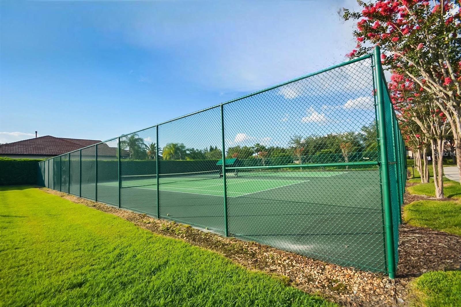 11954 PROVINCIAL WAY, WINDERMERE, FL, 34786