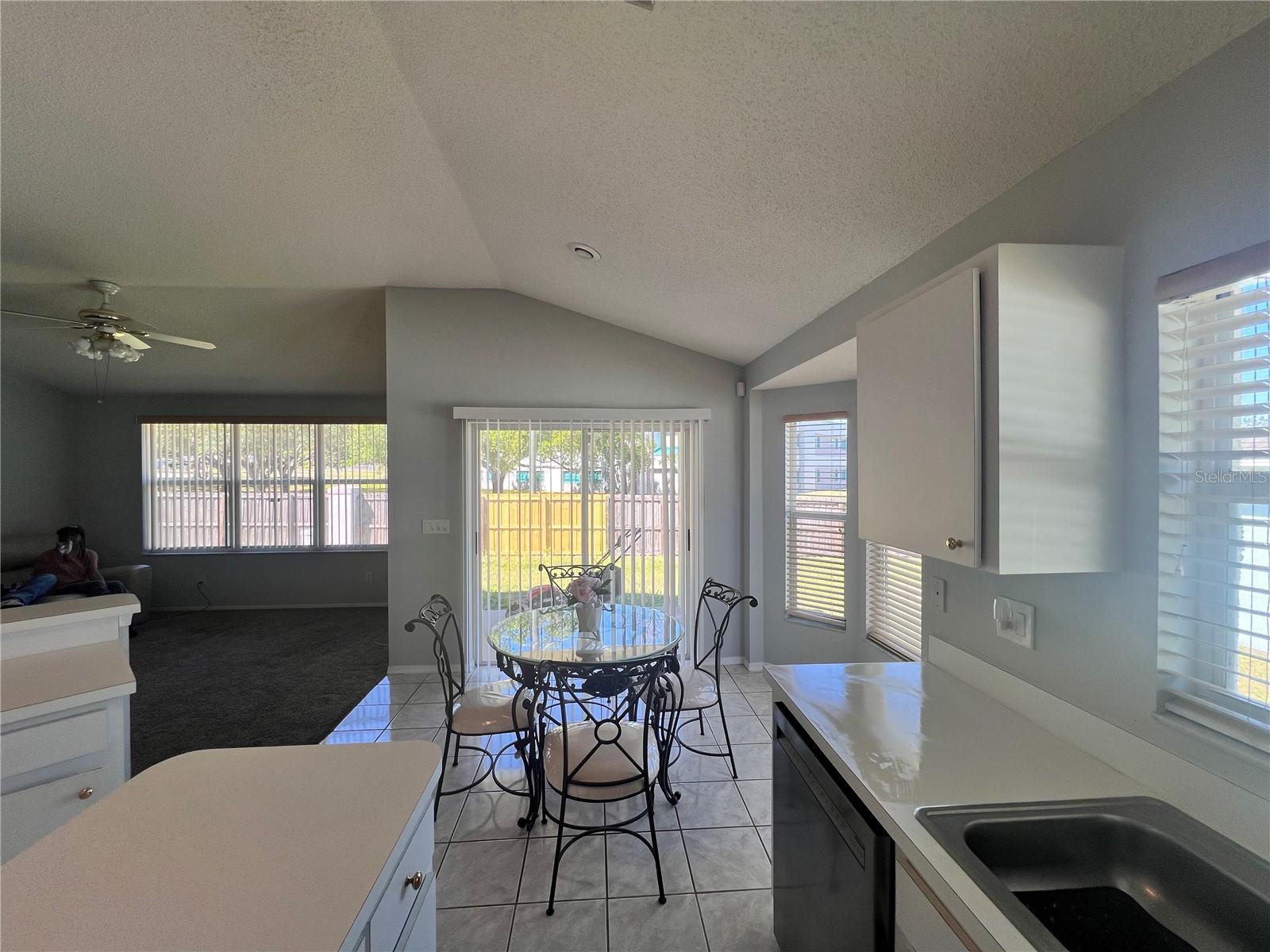 418 HENDERSON AVE, SEFFNER, FL, 33584
