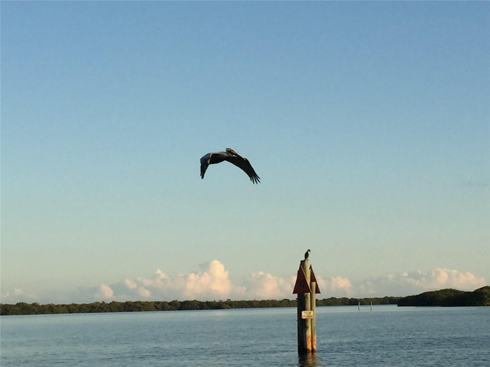 2820 S CRANBERRY BLVD, NORTH PORT, FL, 34286