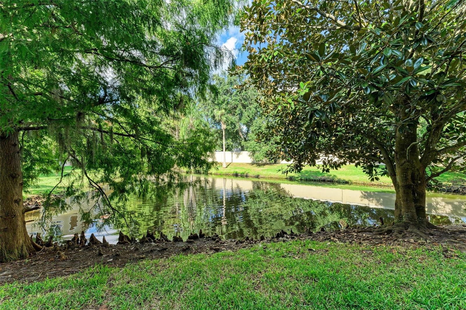 3619 PARKRIDGE CIR #11-102, SARASOTA, FL, 34243