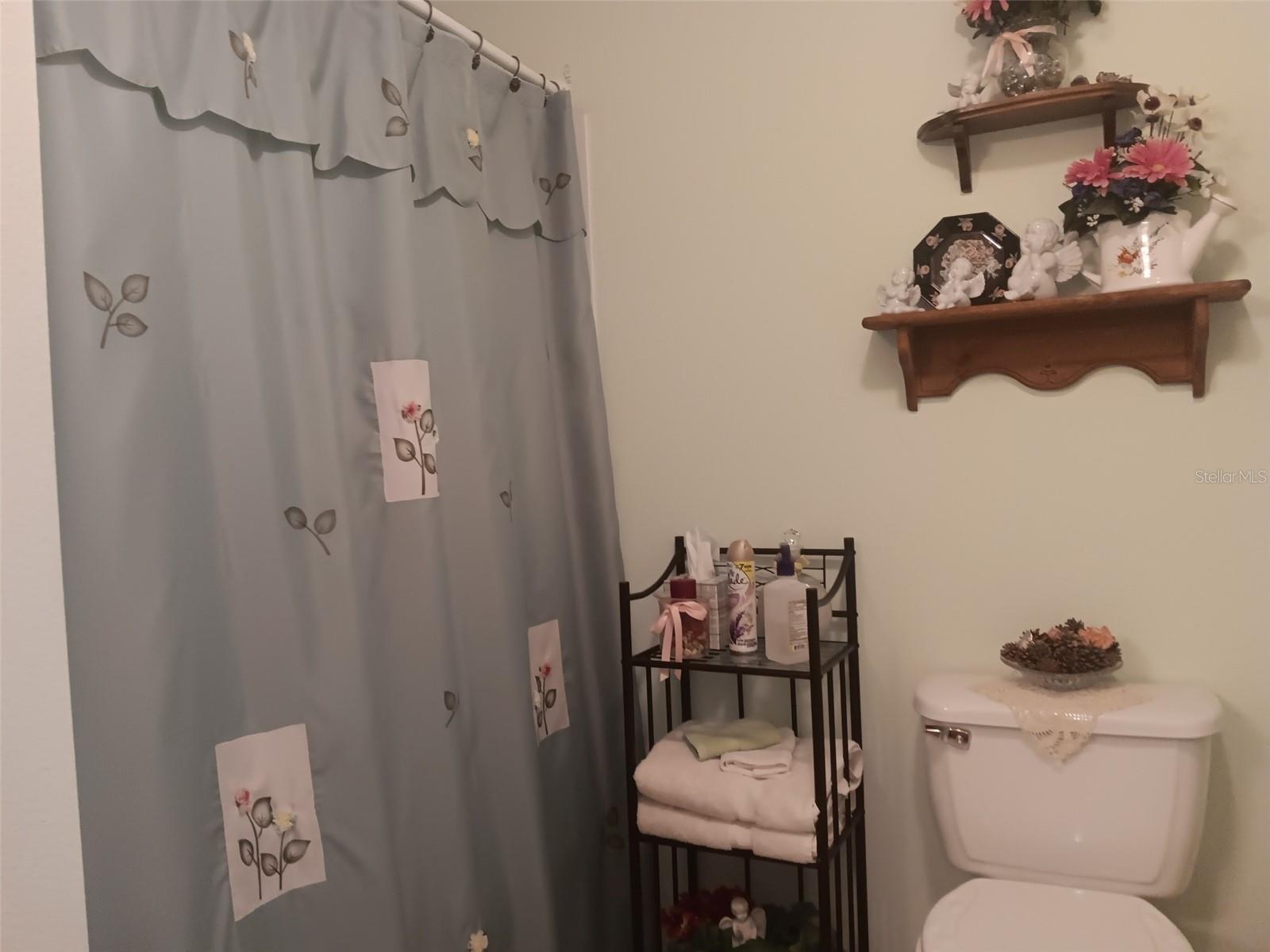 6271 SE 218TH AVE, MORRISTON, FL, 32668