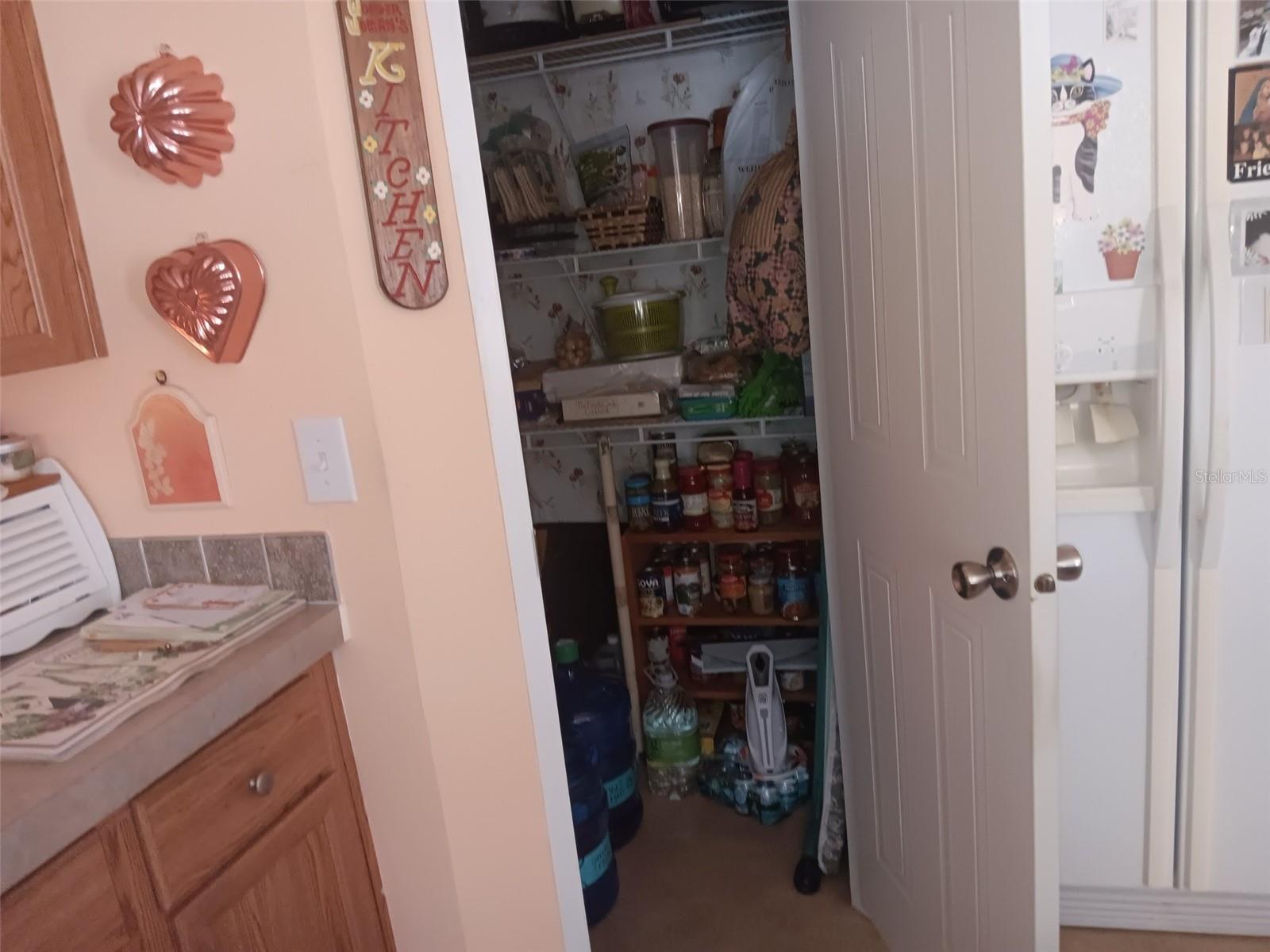 6271 SE 218TH AVE, MORRISTON, FL, 32668