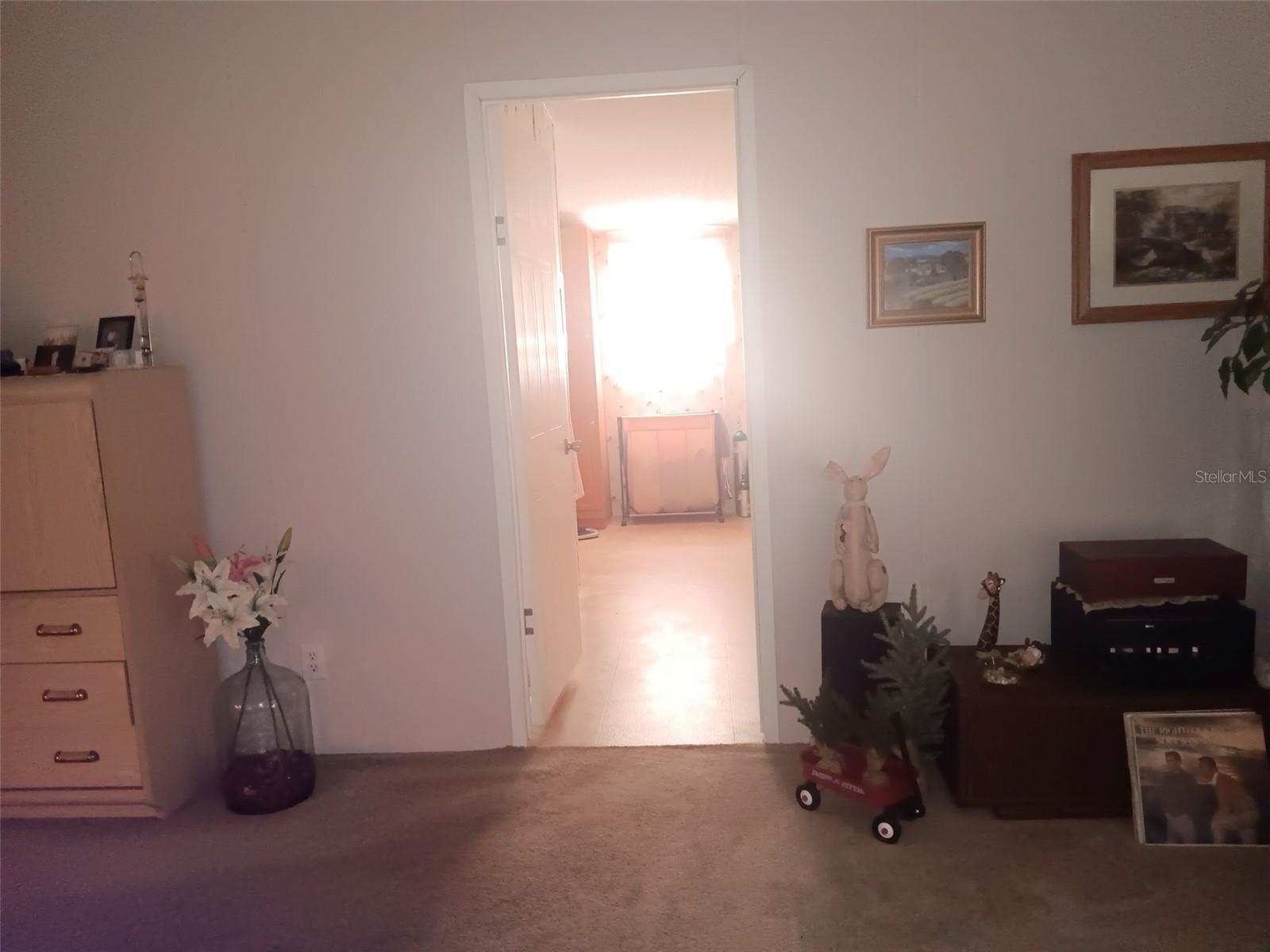 6271 SE 218TH AVE, MORRISTON, FL, 32668